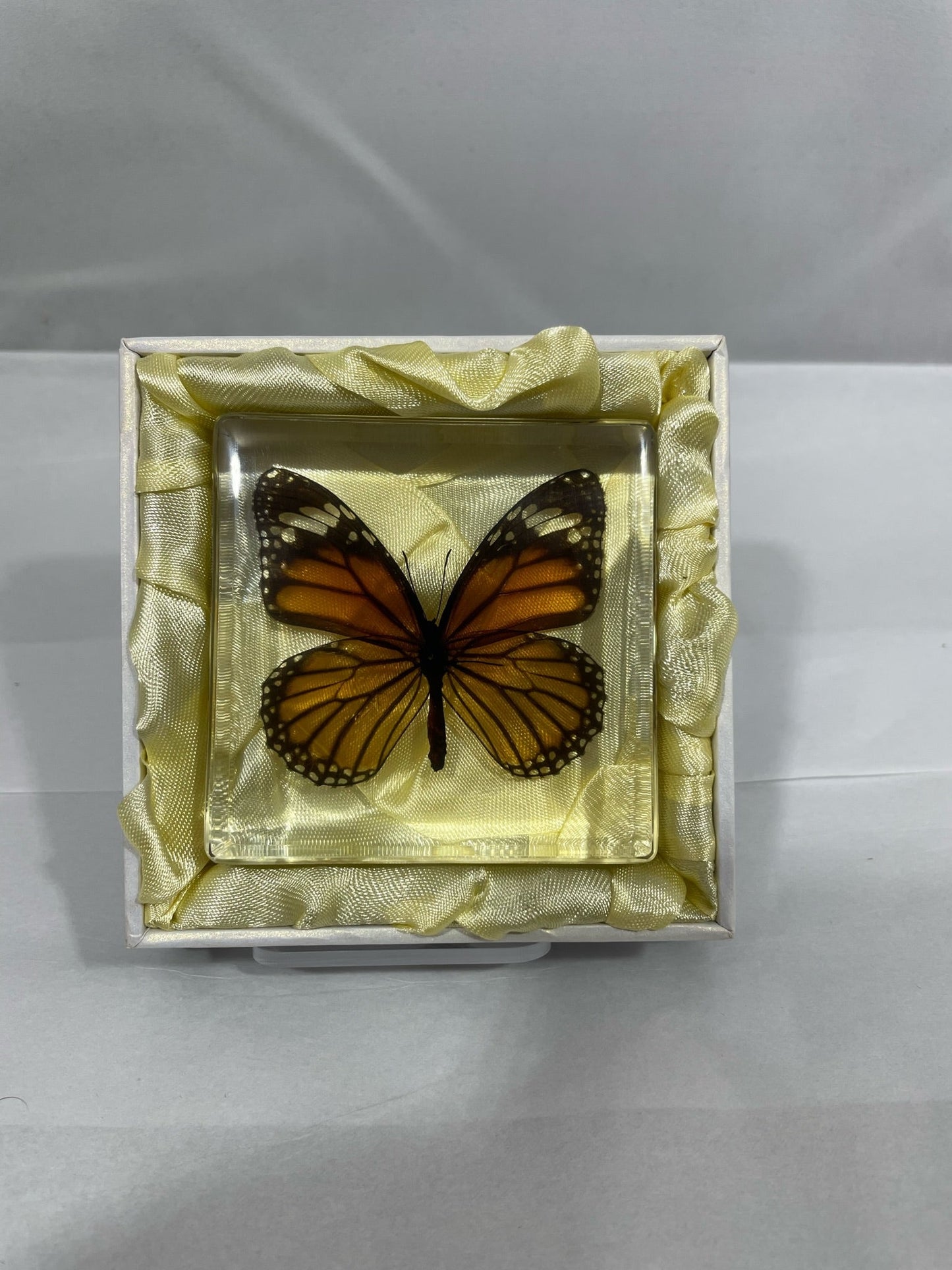 3" Tiger Butterfly Cuboid Decoration