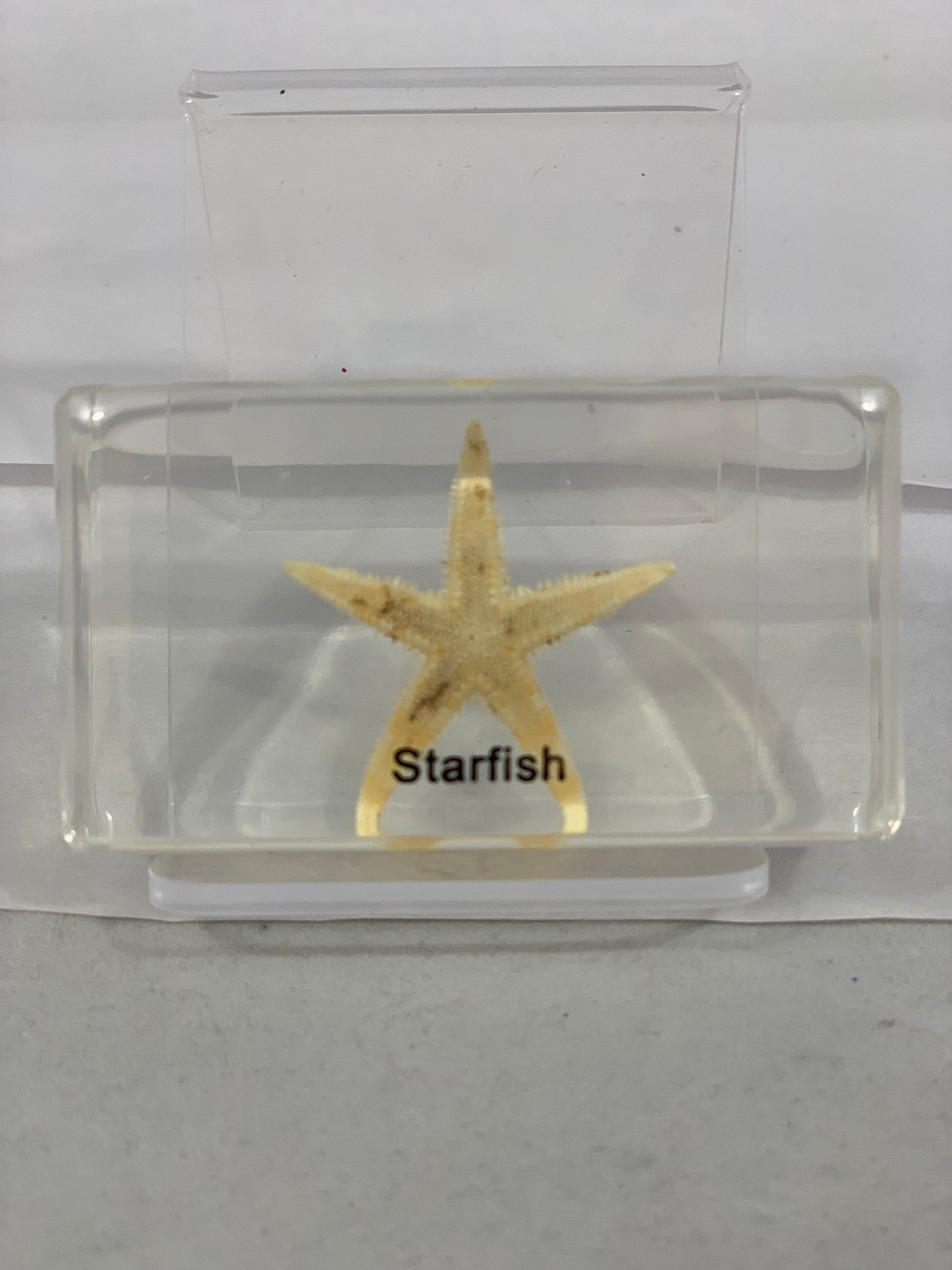 Marine Animals Box Set