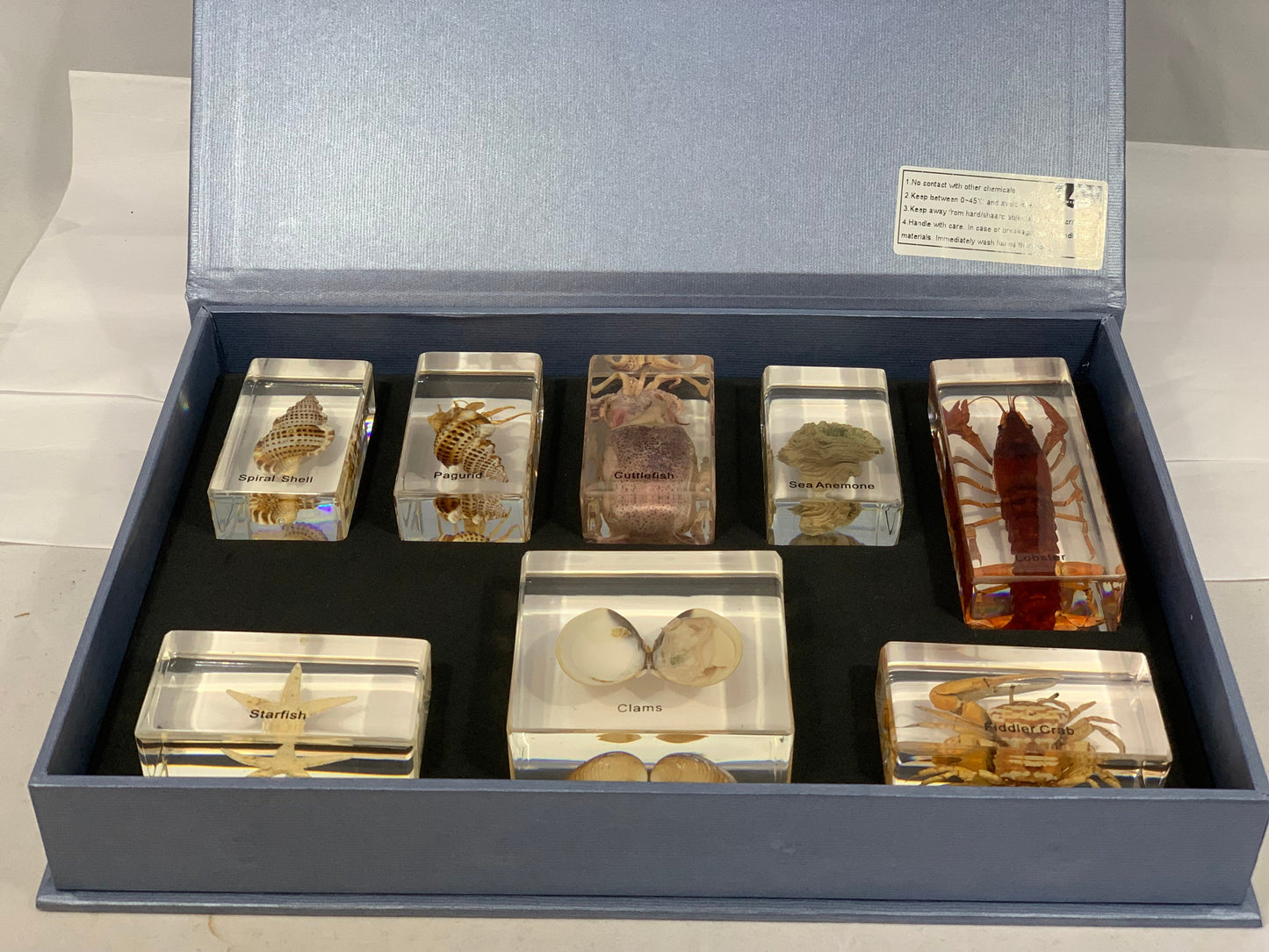 Marine Animals Box Set