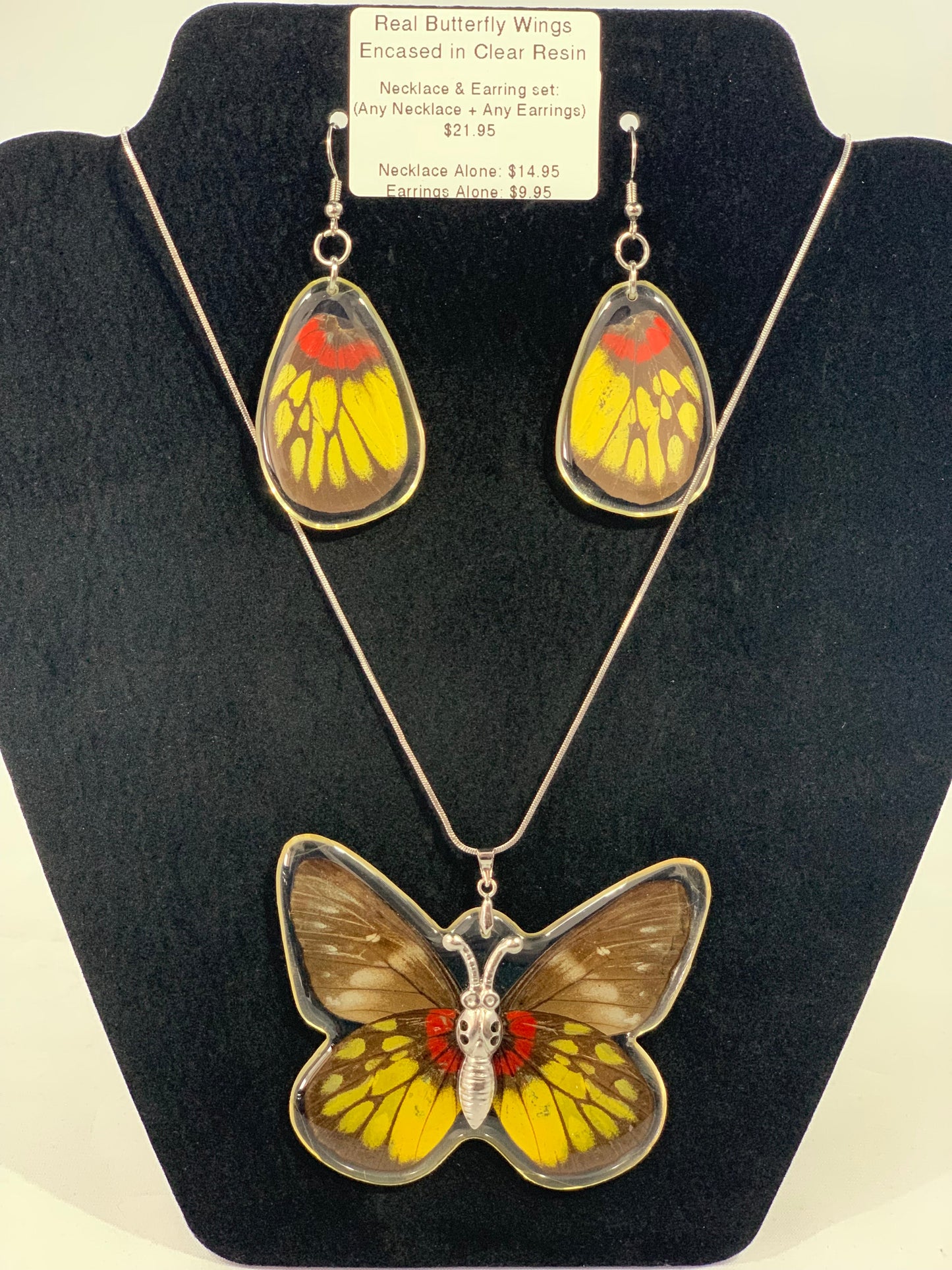 Preserved Butterfly Jewelry