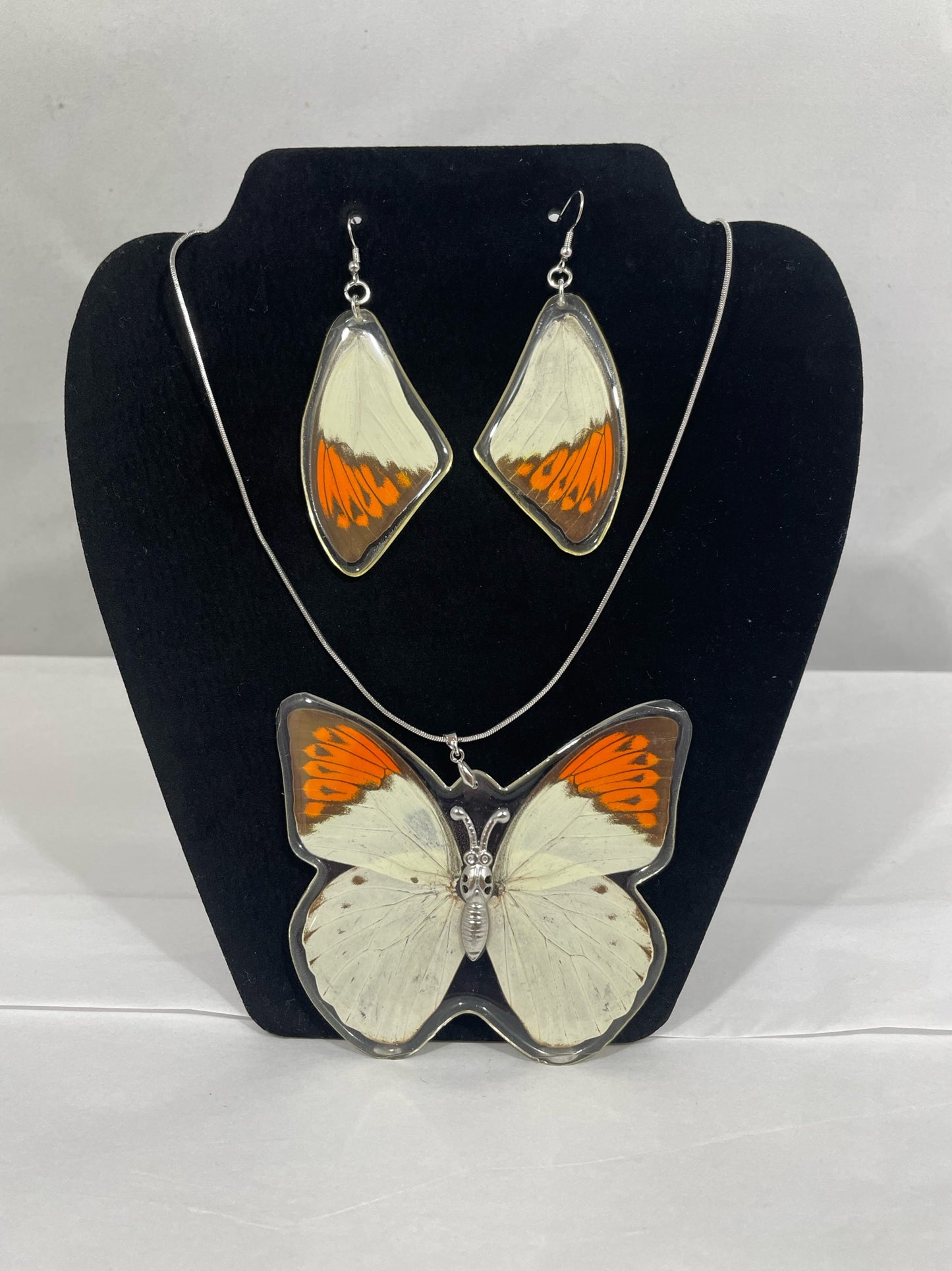 Preserved Butterfly Jewelry