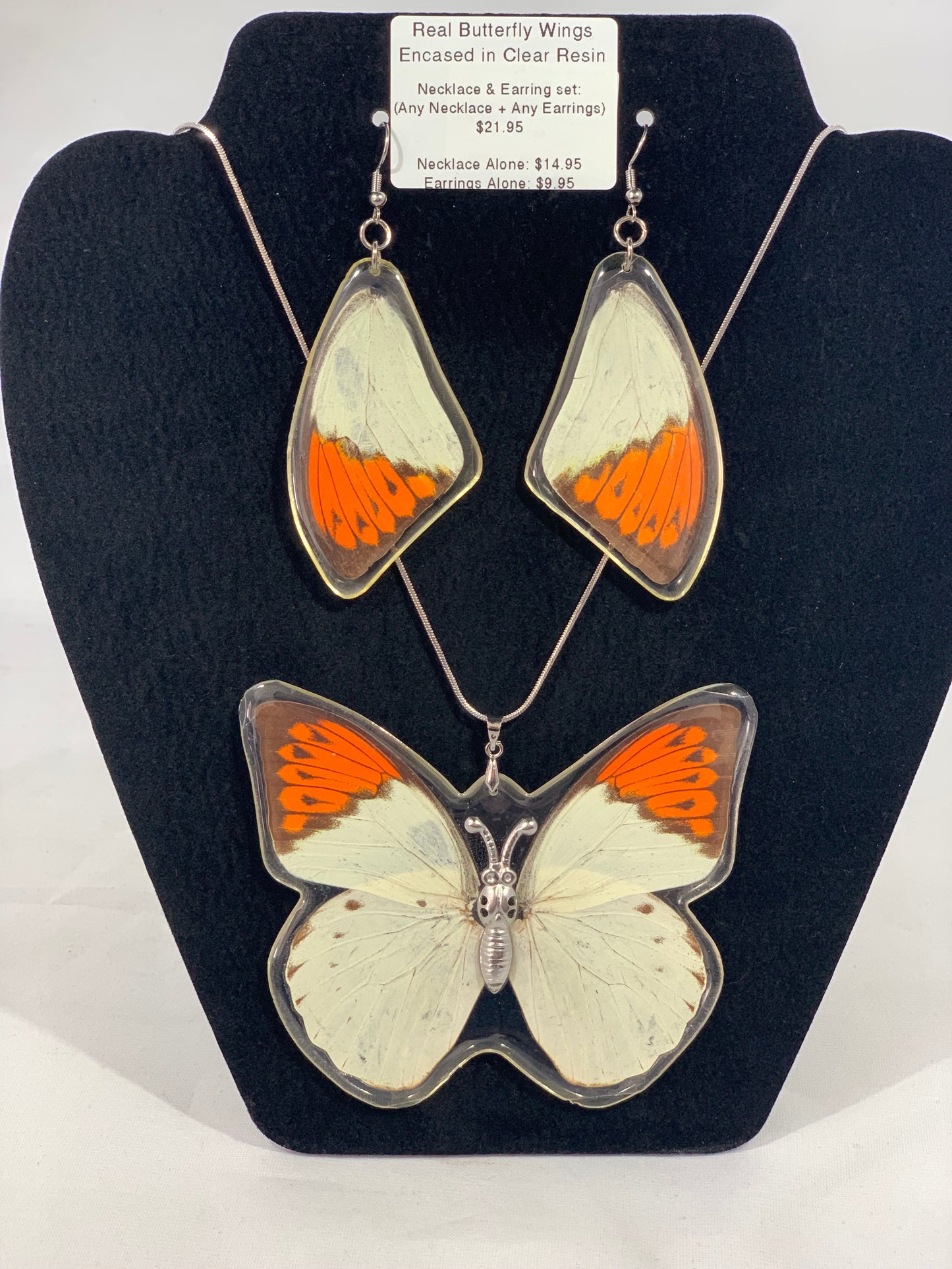 Preserved Butterfly Jewelry