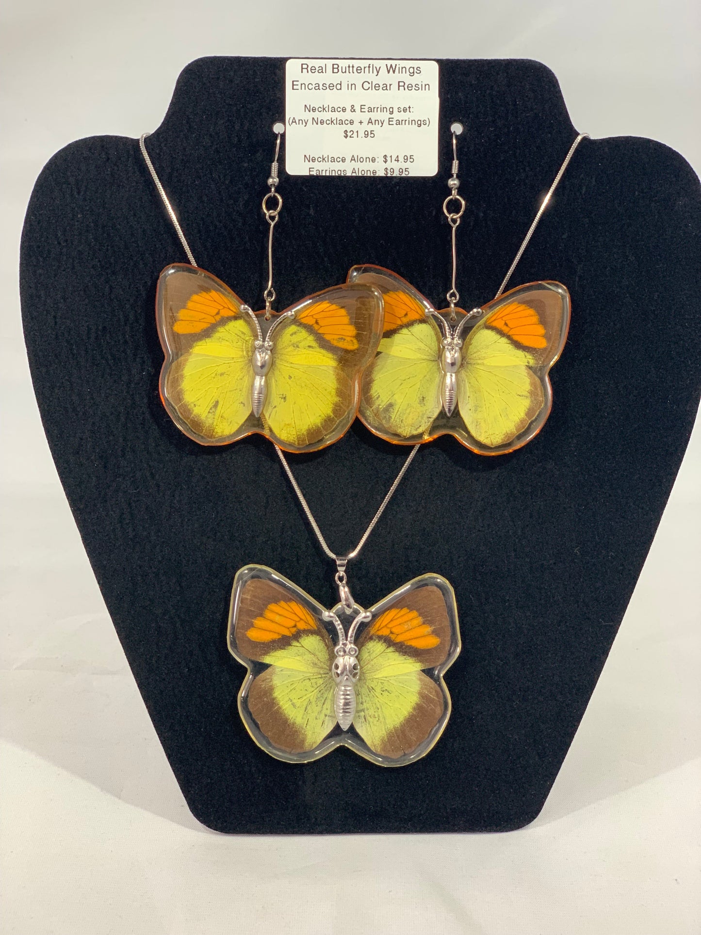 Preserved Butterfly Jewelry
