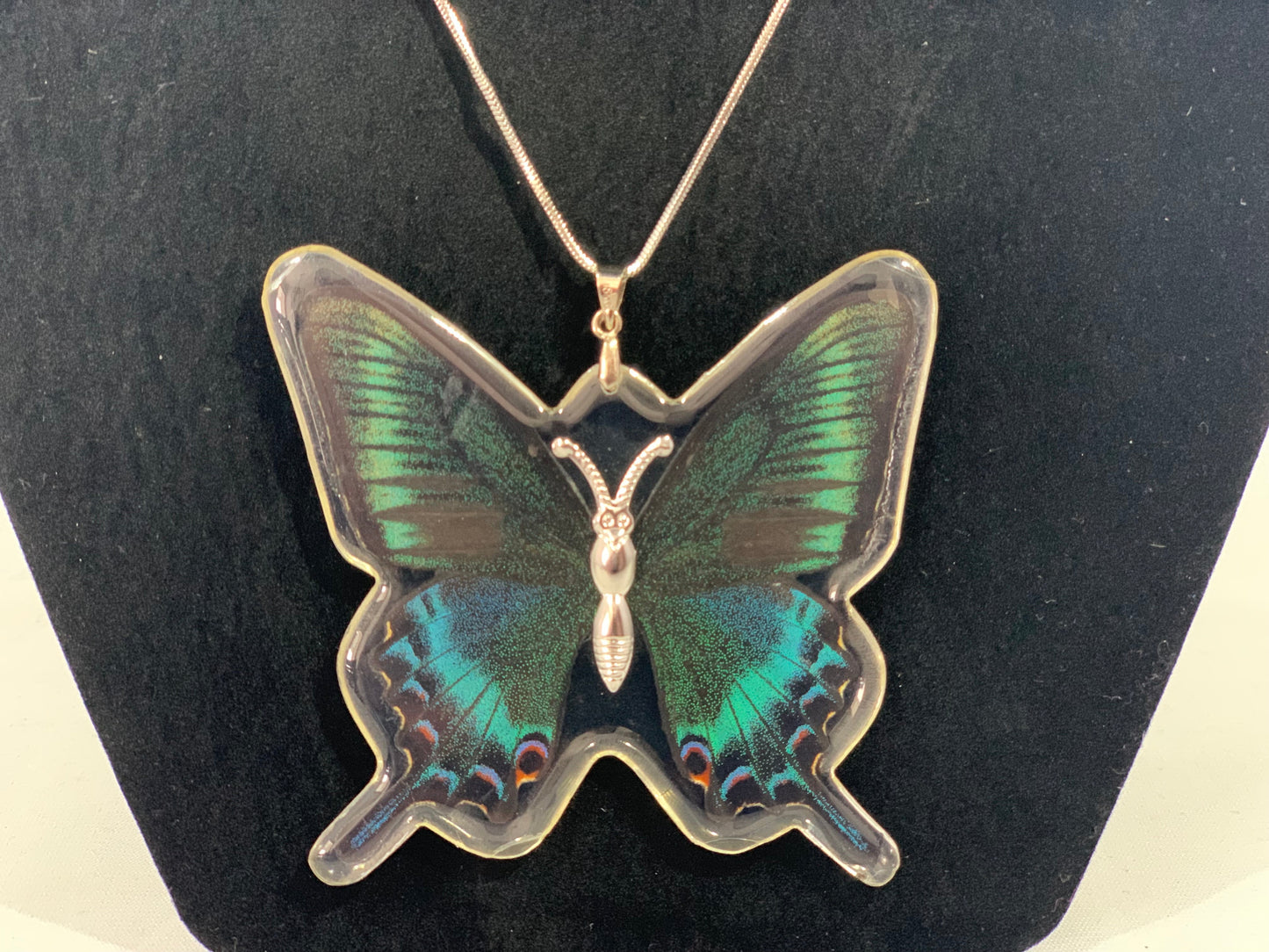 Preserved Butterfly Jewelry