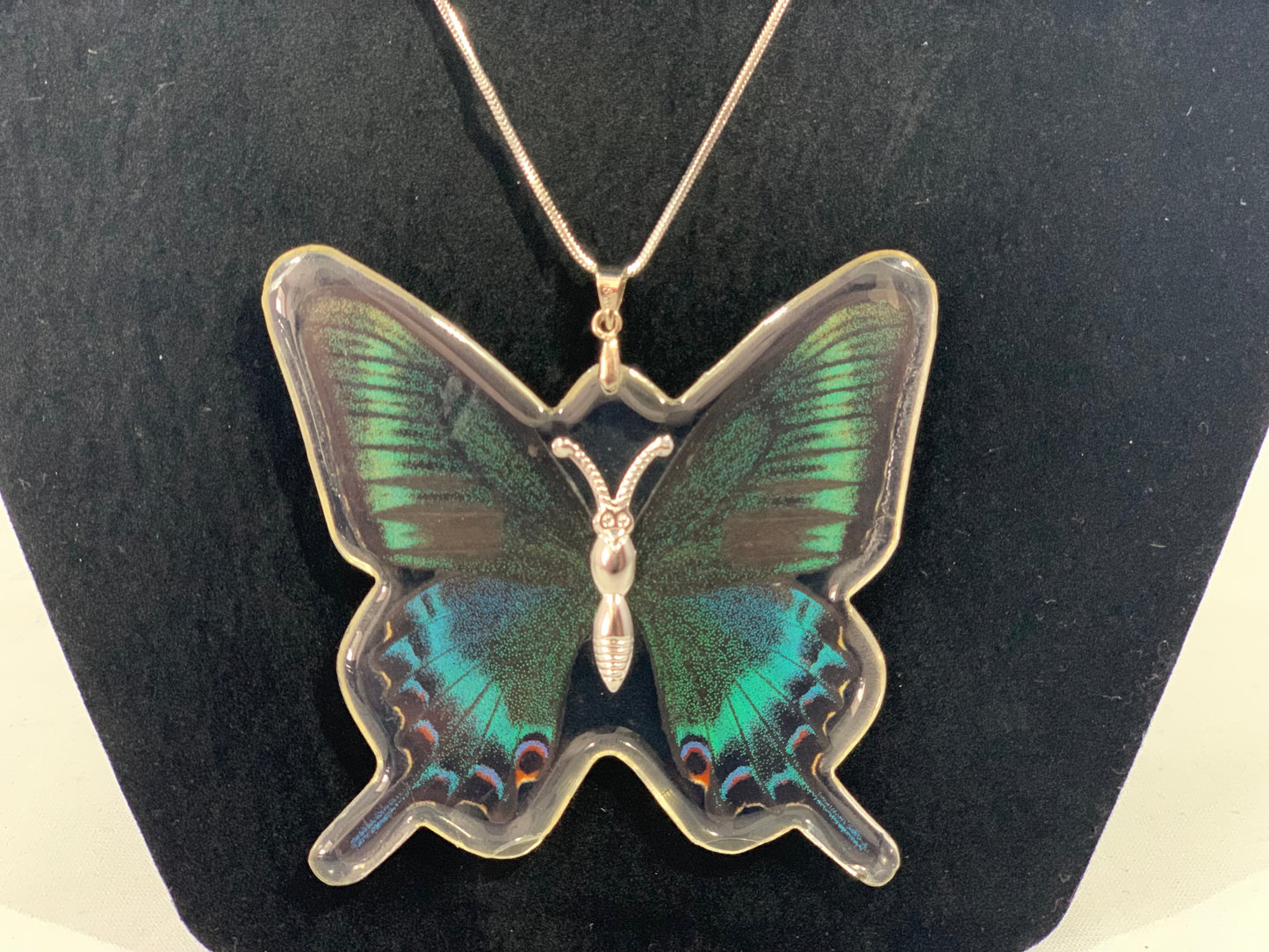 Preserved Butterfly Jewelry