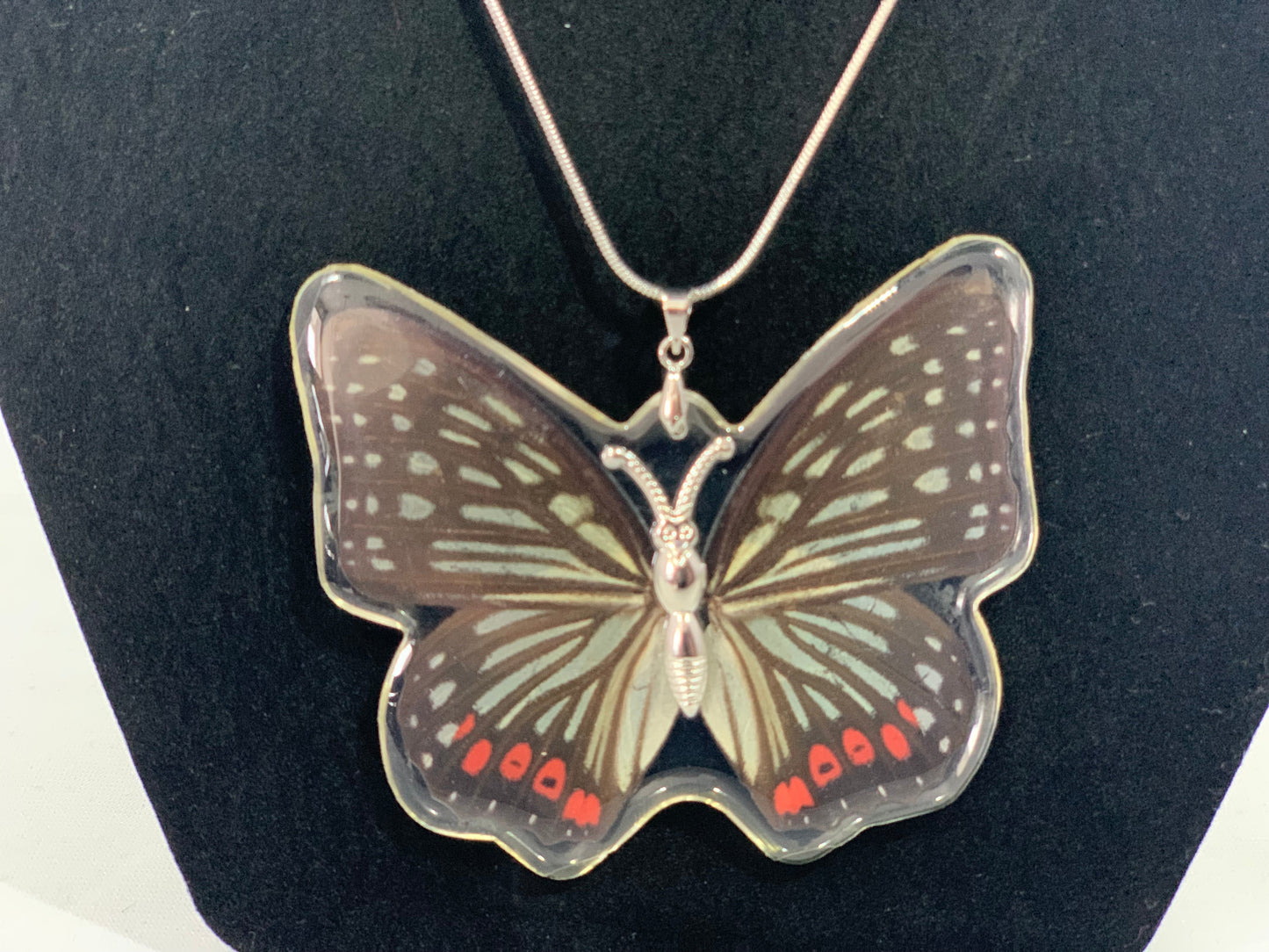 Preserved Butterfly Jewelry