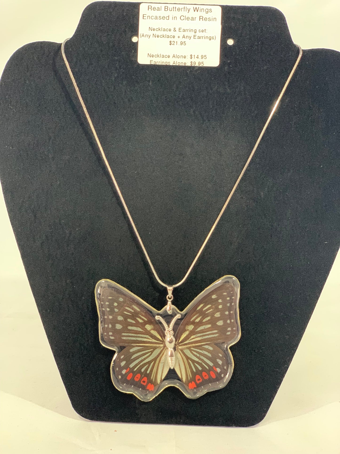 Preserved Butterfly Jewelry