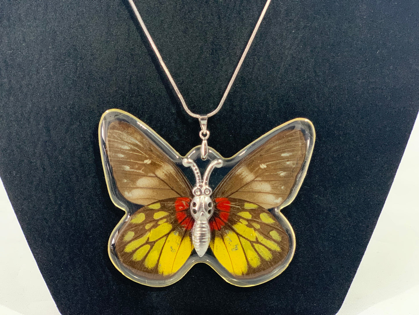 Preserved Butterfly Jewelry