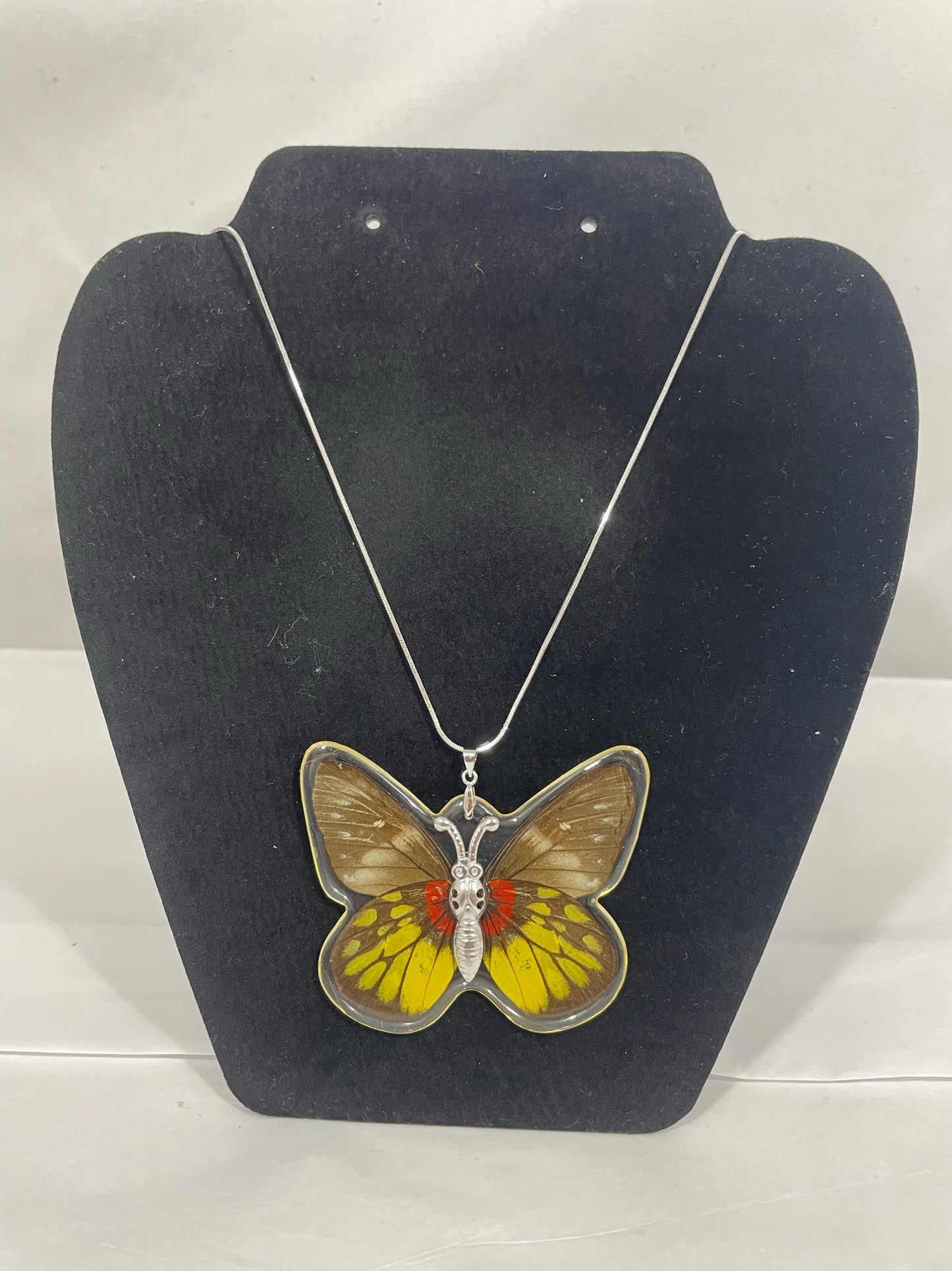 Preserved Butterfly Jewelry