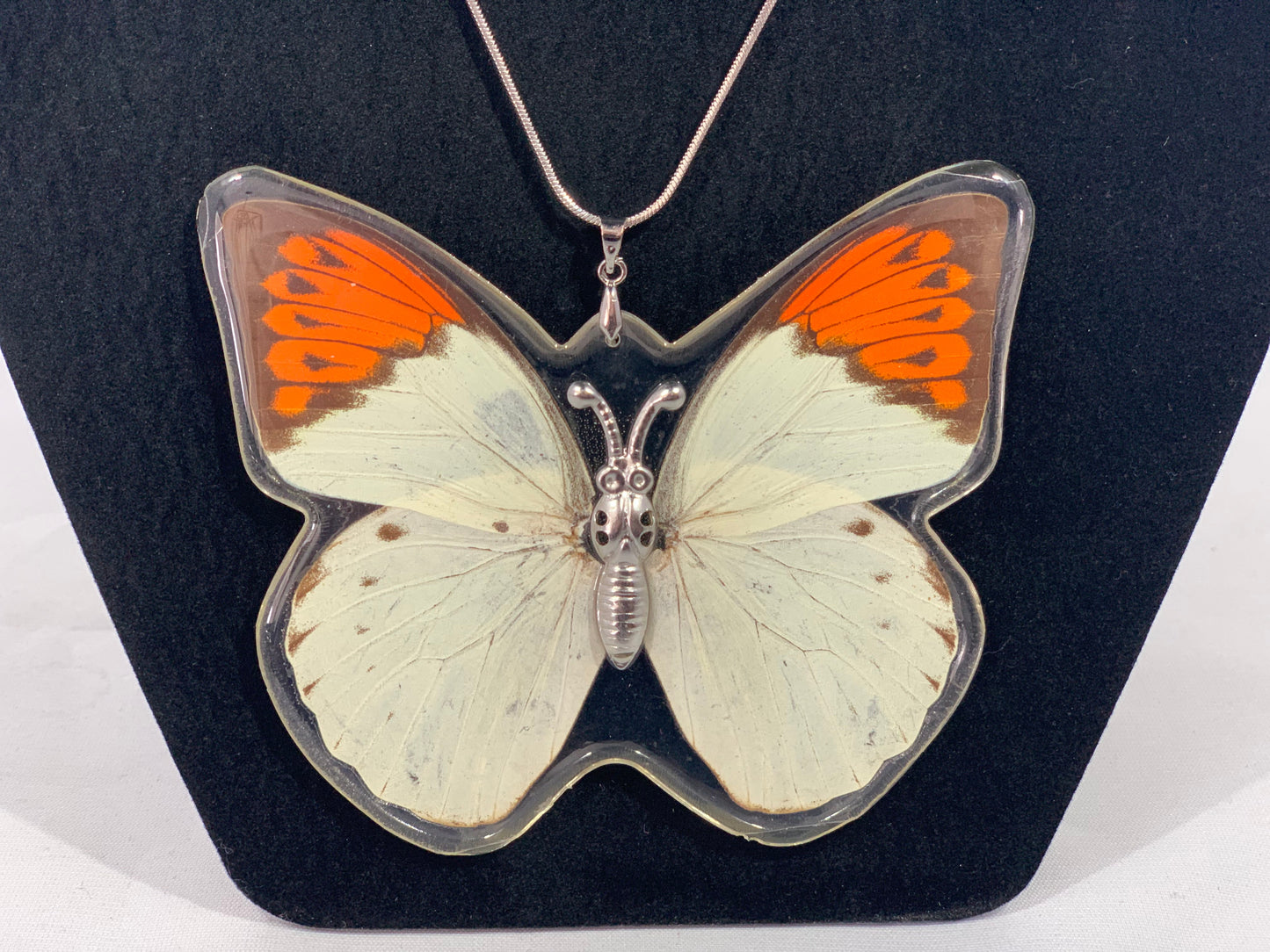 Preserved Butterfly Jewelry