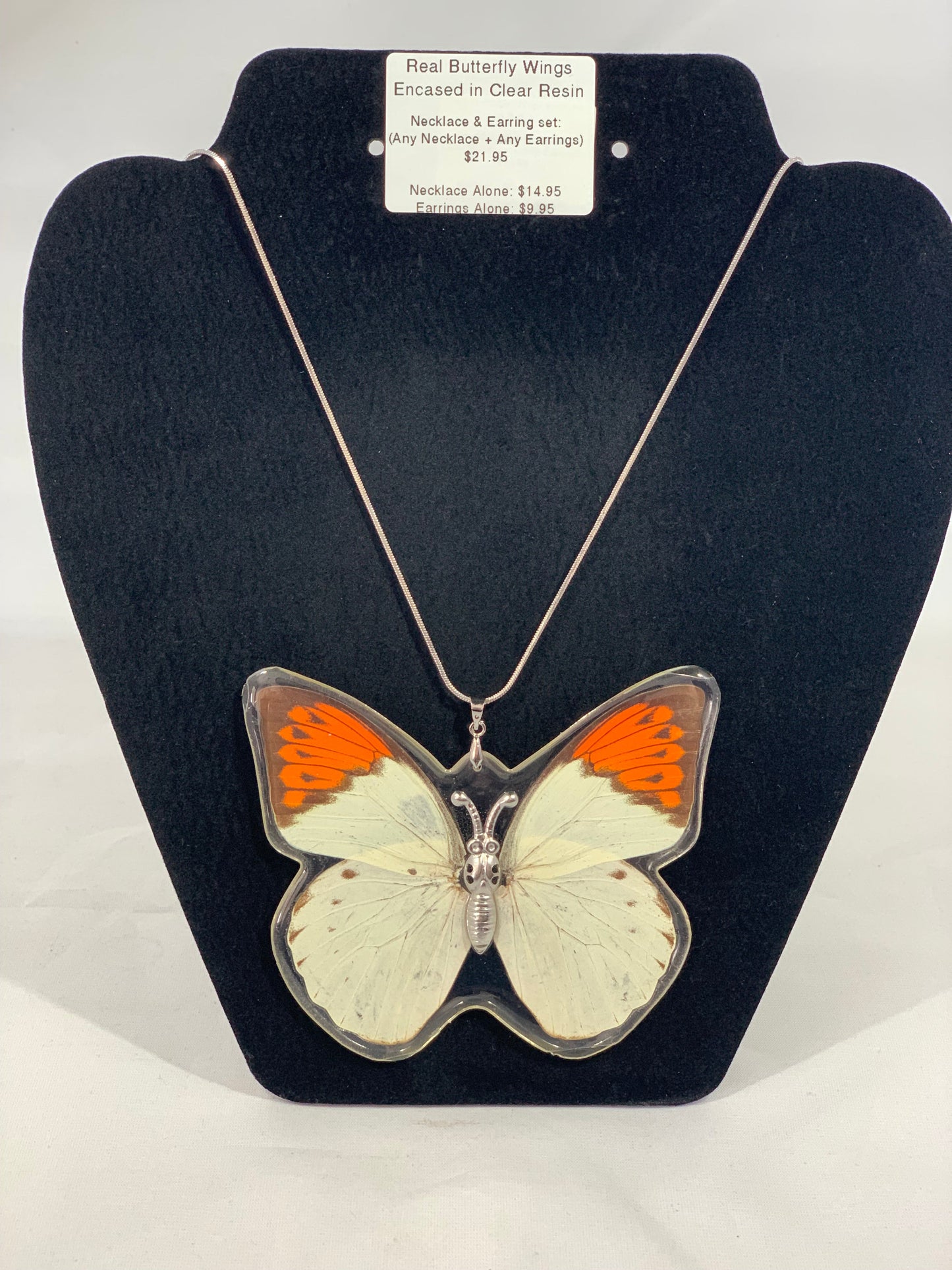 Preserved Butterfly Jewelry