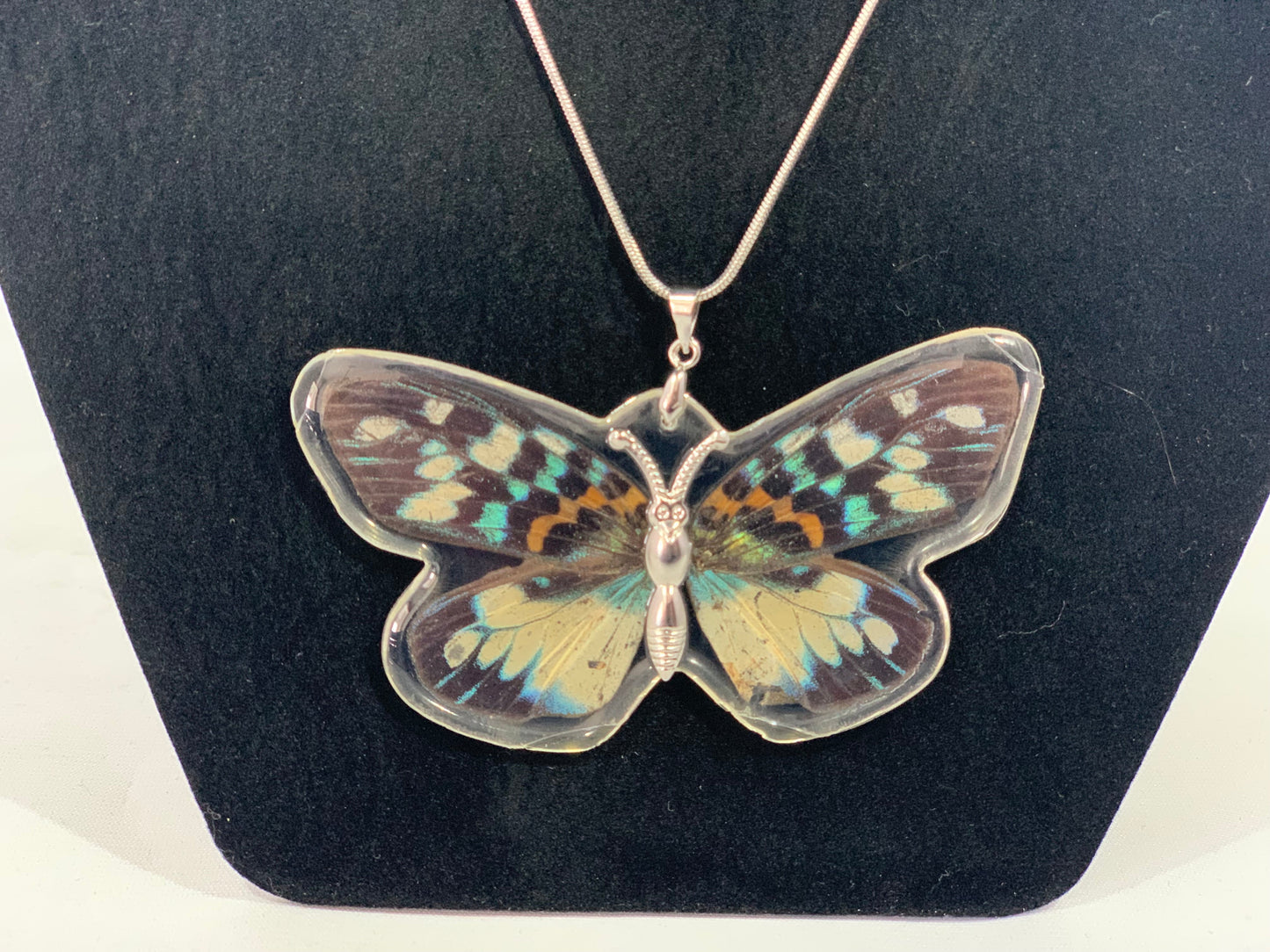 Preserved Butterfly Jewelry
