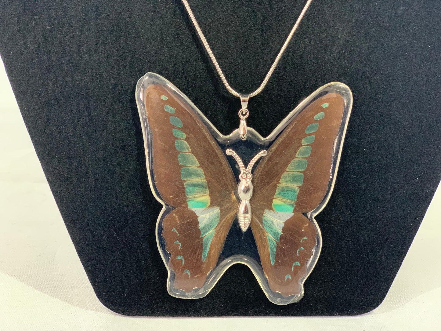 Preserved Butterfly Jewelry