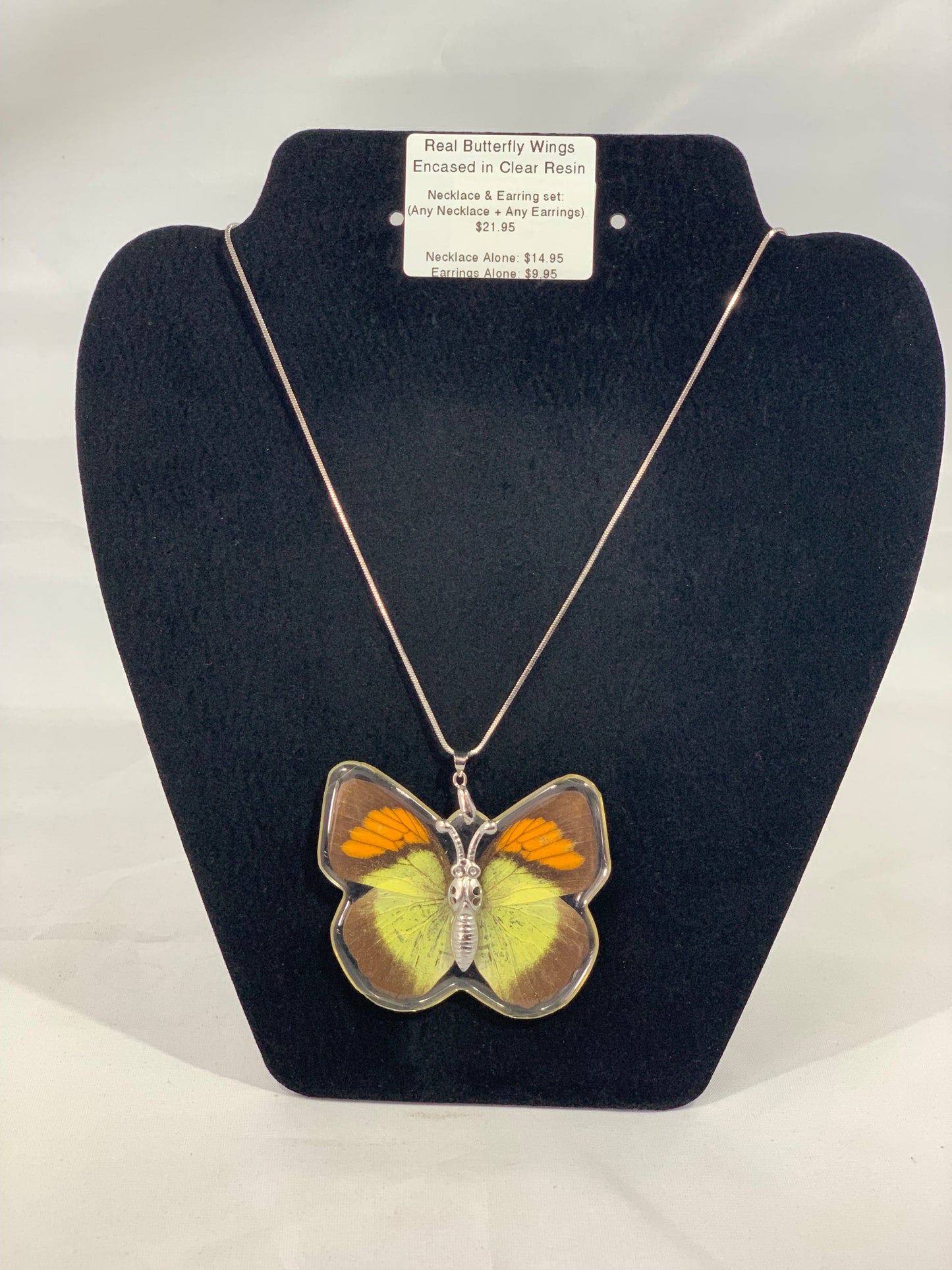 Preserved Butterfly Jewelry