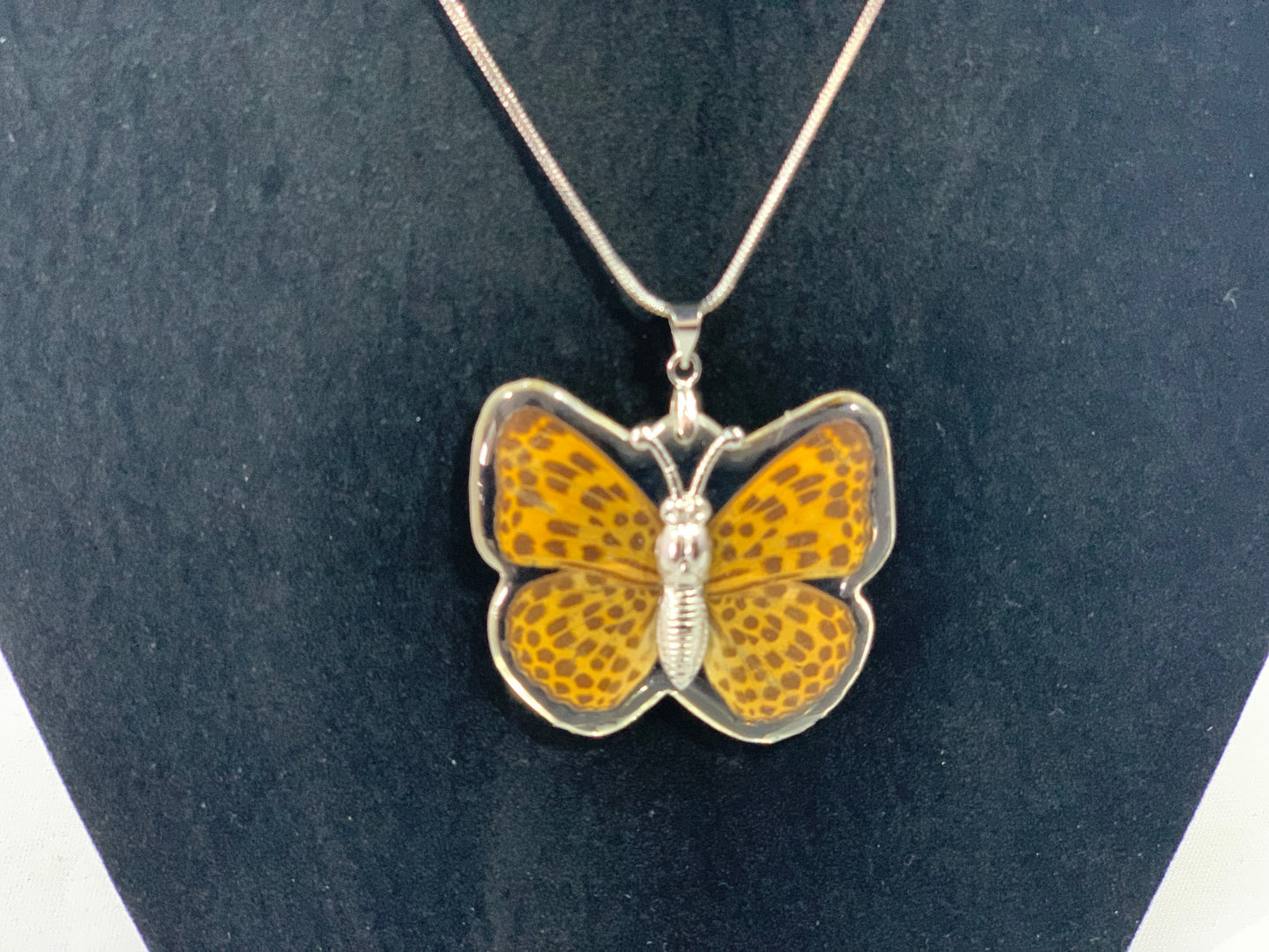 Preserved Butterfly Jewelry