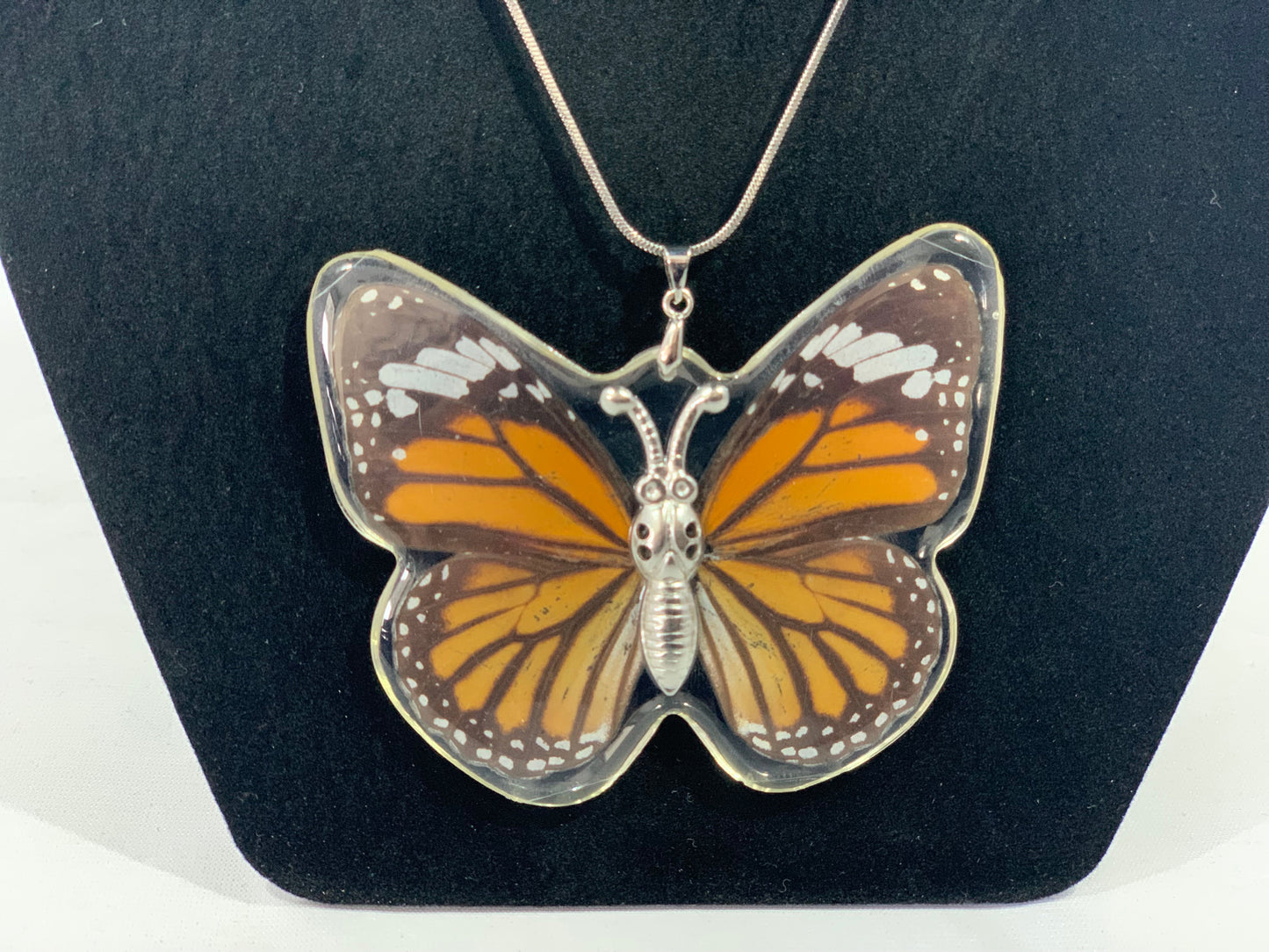 Preserved Butterfly Jewelry