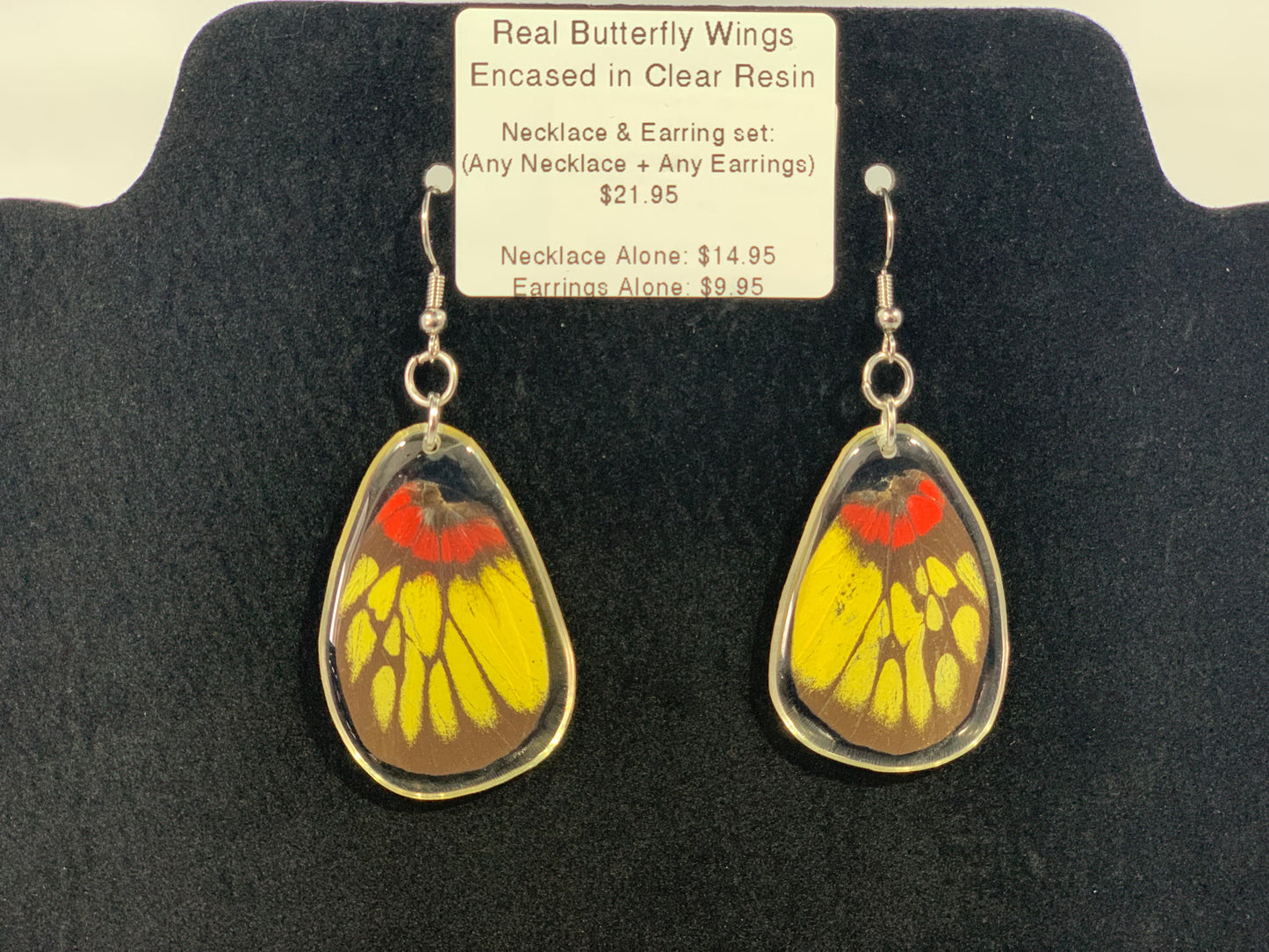 Preserved Butterfly Jewelry
