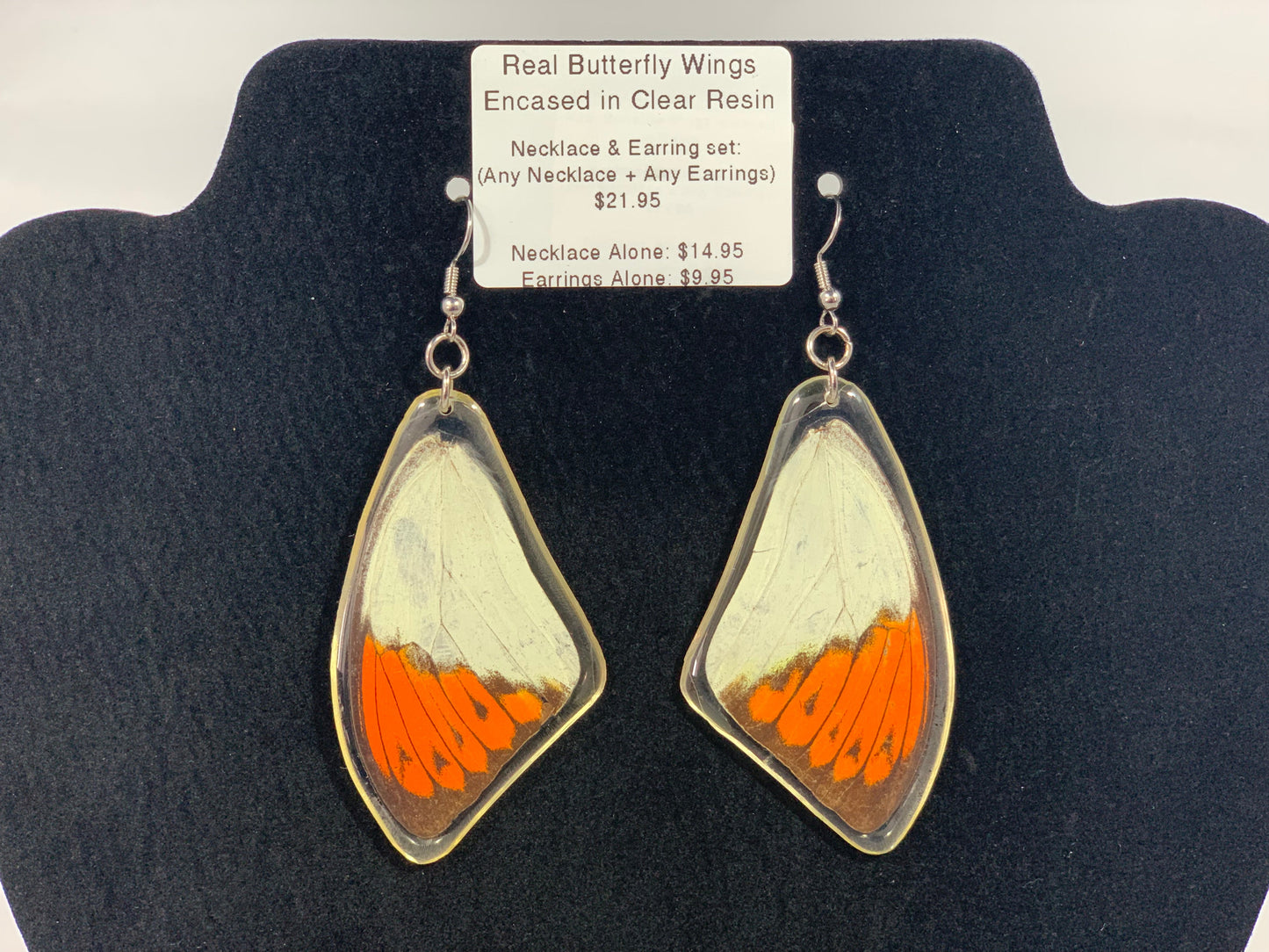 Preserved Butterfly Jewelry