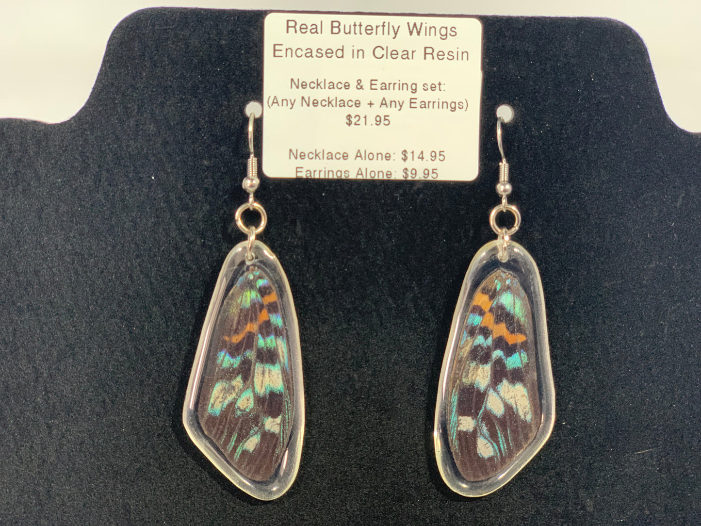 Preserved Butterfly Jewelry