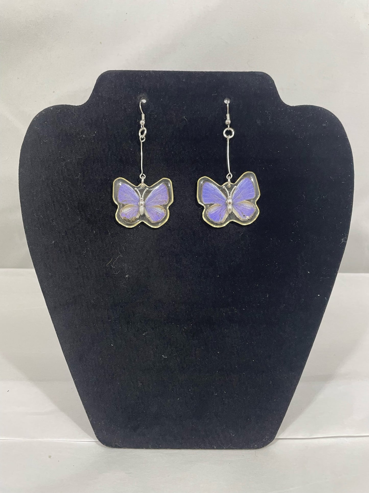 Preserved Butterfly Jewelry