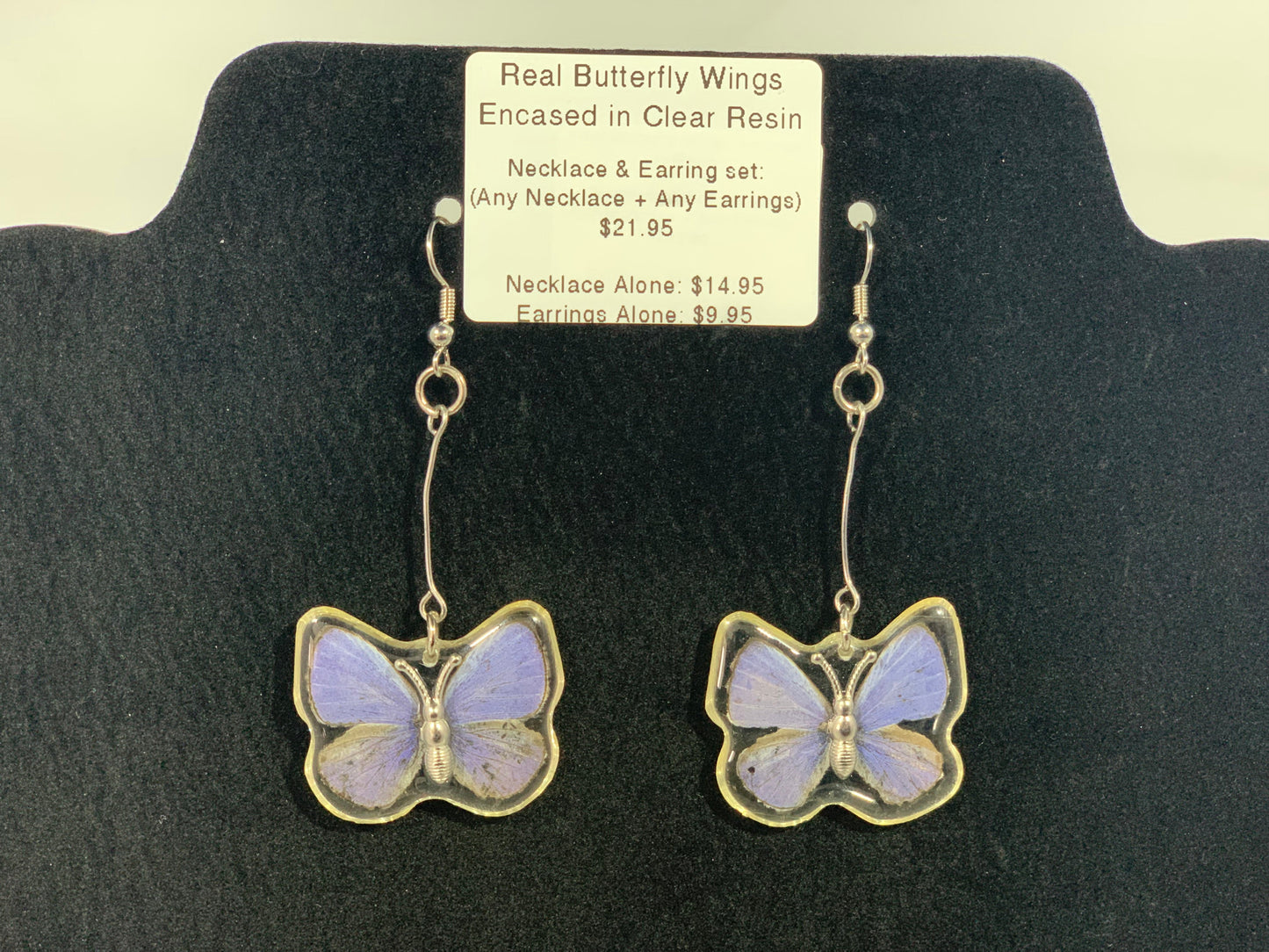 Preserved Butterfly Jewelry