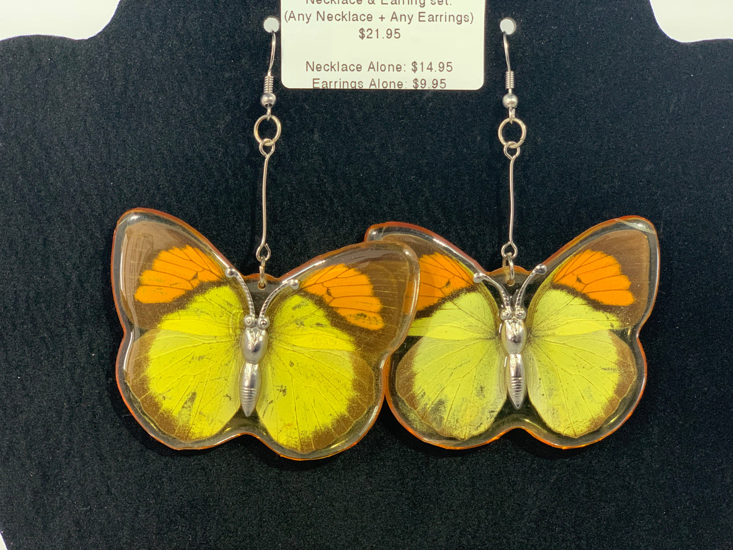 Preserved Butterfly Jewelry