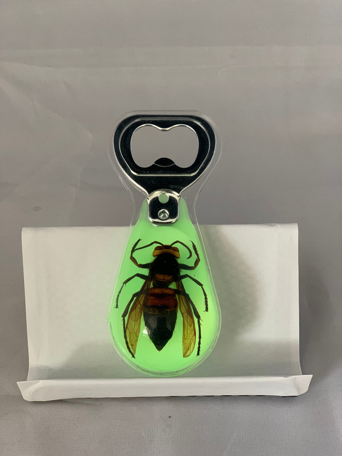 Unique and Rare Resin encased Asian giant hornet (Vespa mandarinia) Bottle Opener