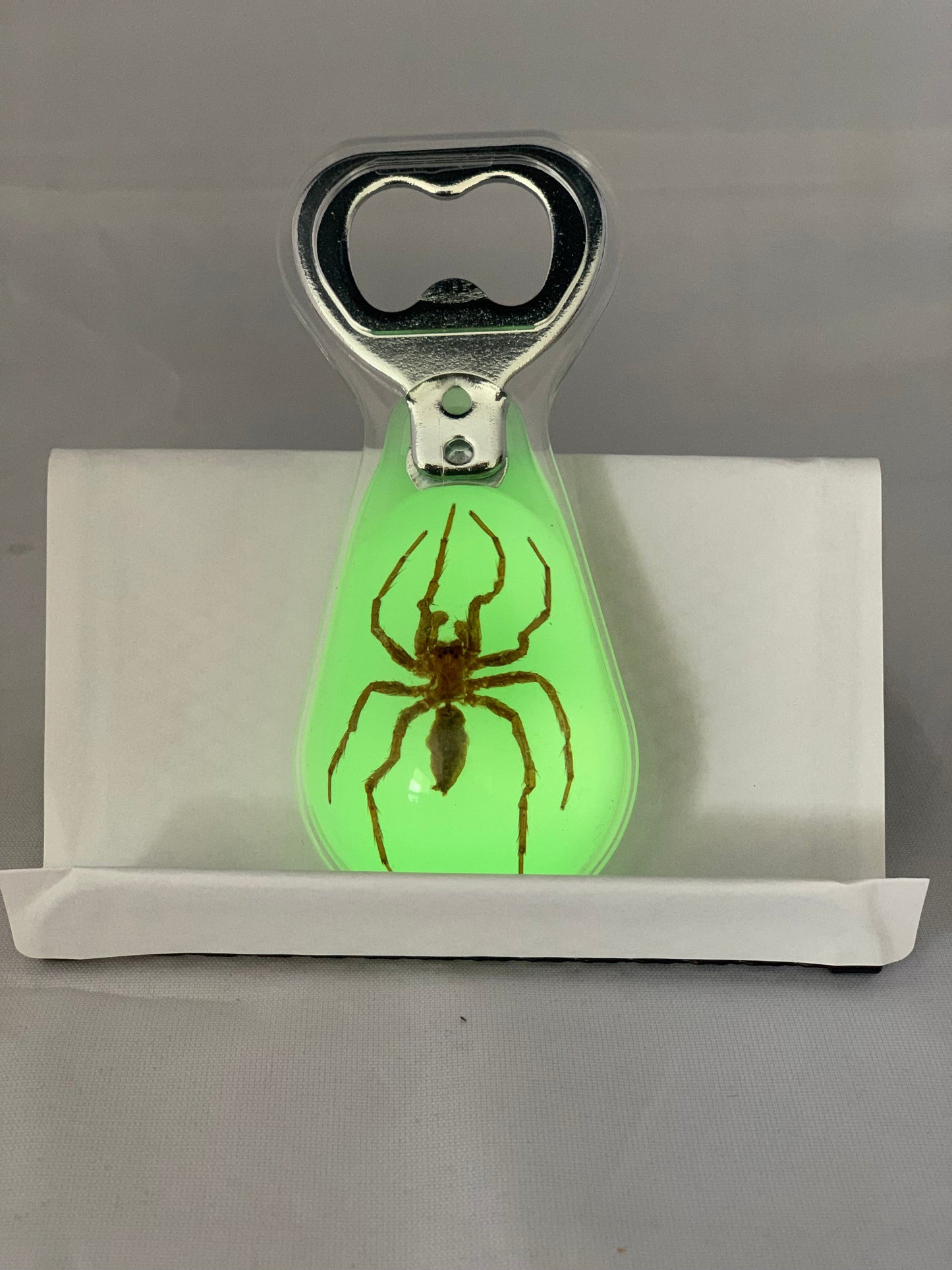 Spider Bottle Opener