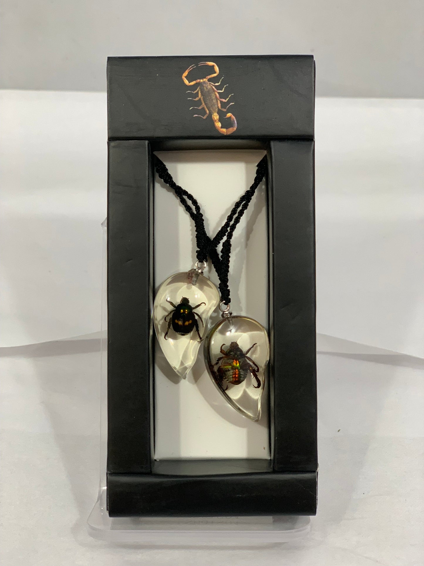 Lucky Chafer Beetle & Shining Chafer Beetle Necklace