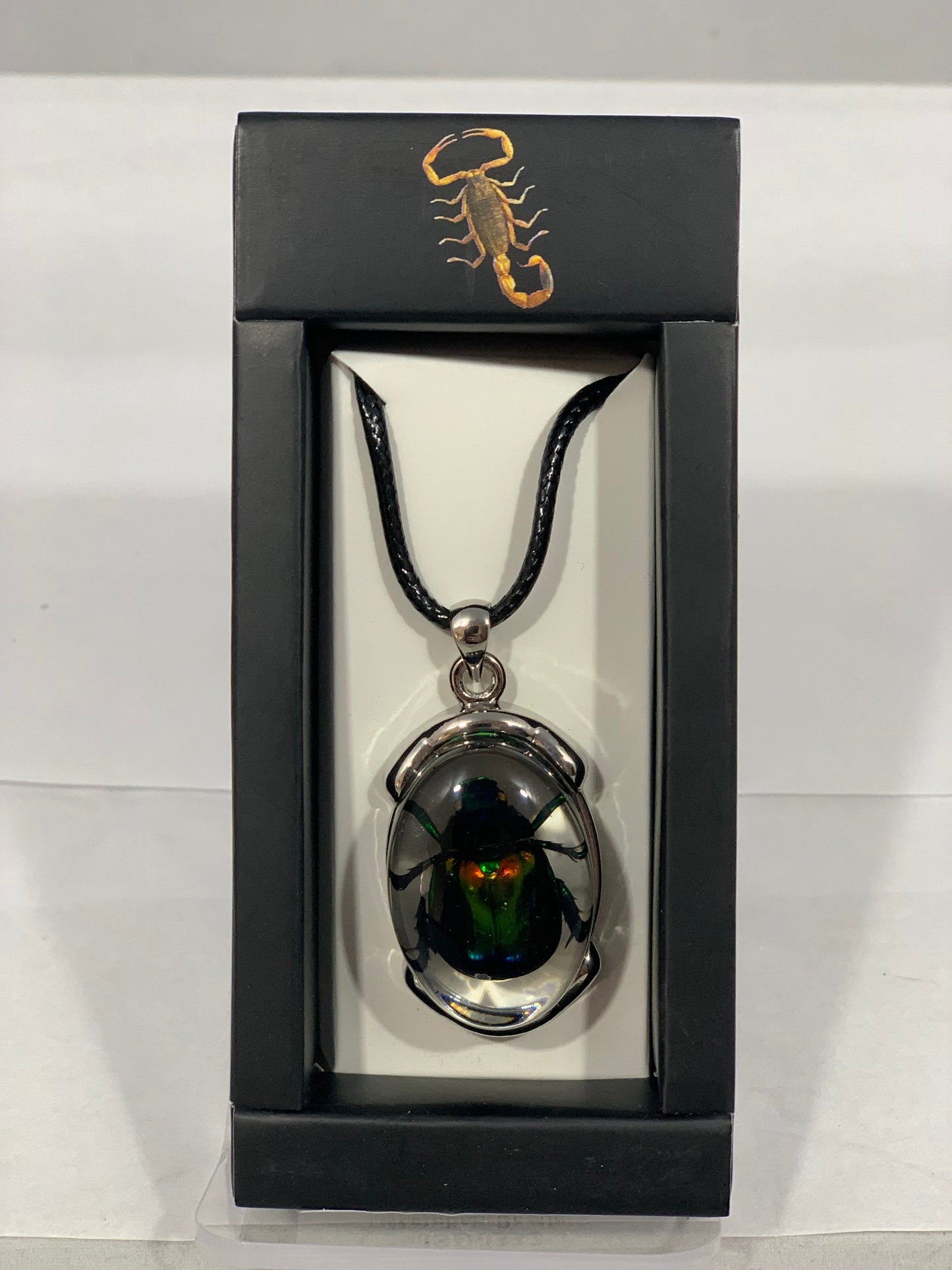 Rutelian Beetle, Oval Metal