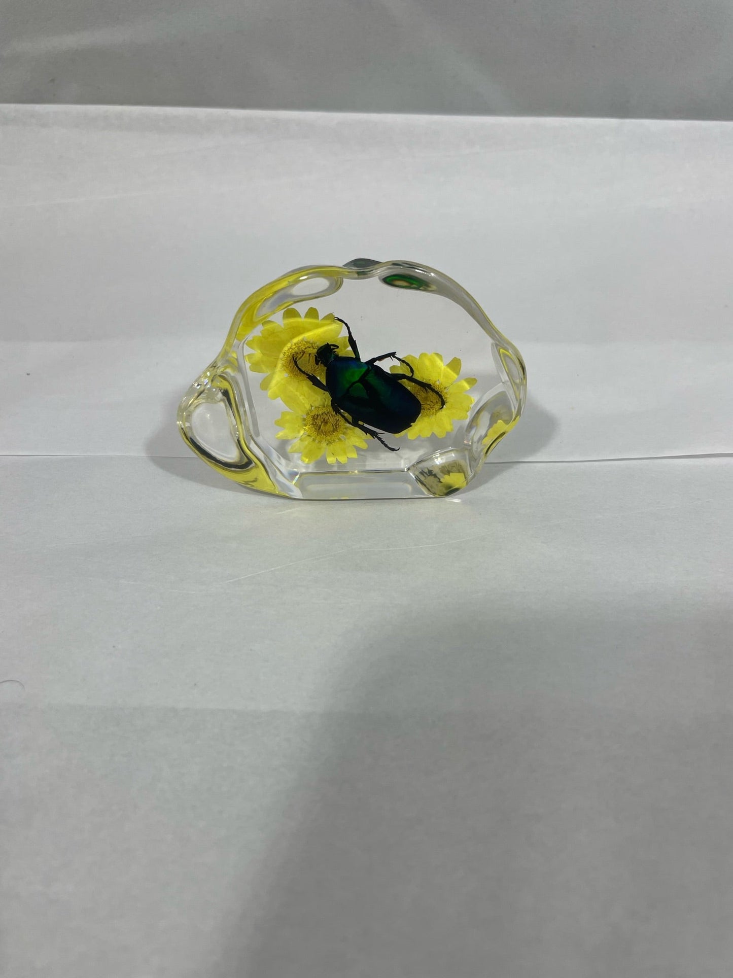 2.9" Organic Green Rose Chafer Beetle Decoration