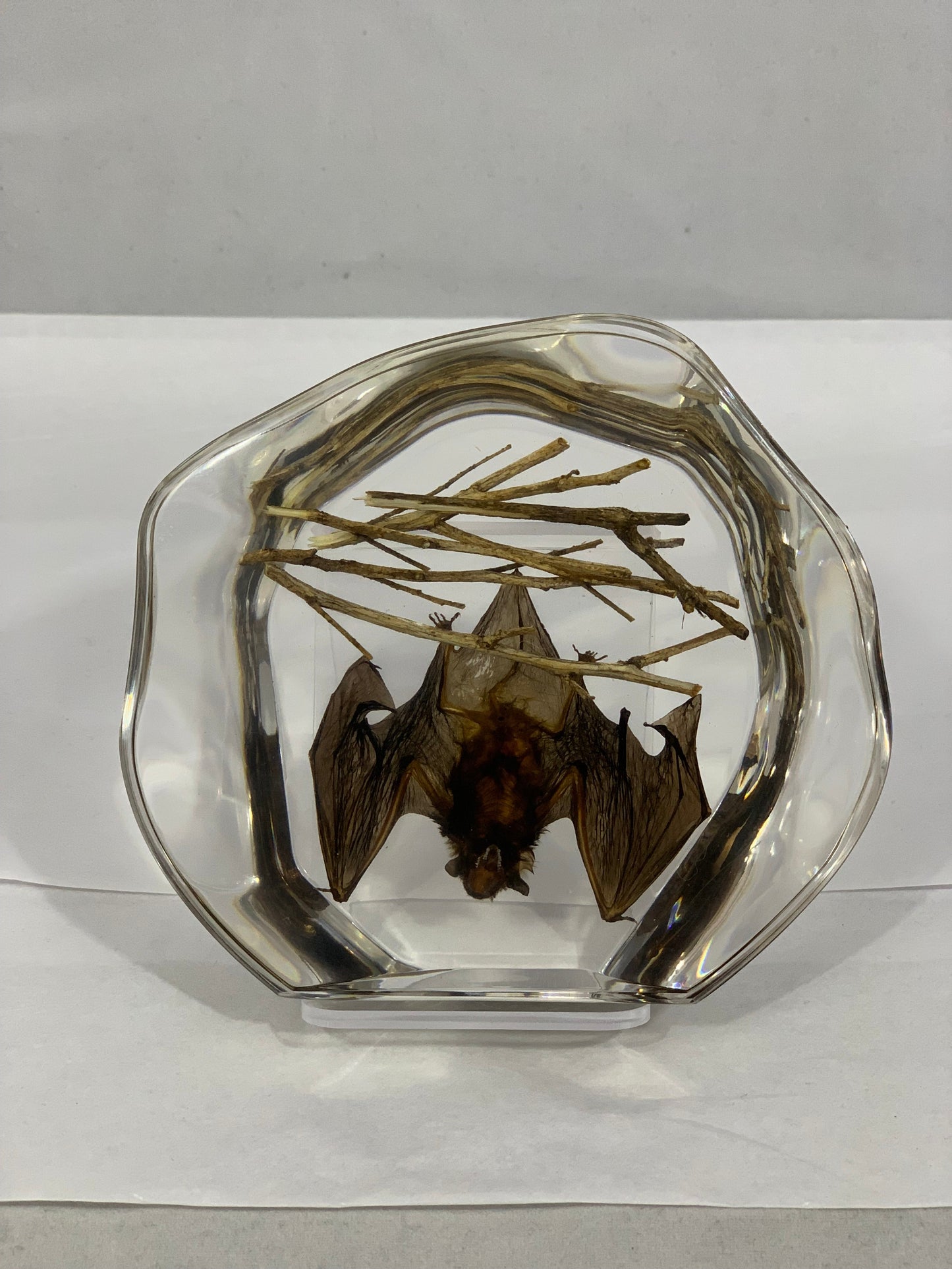 4.5" Organic Bat Decoration