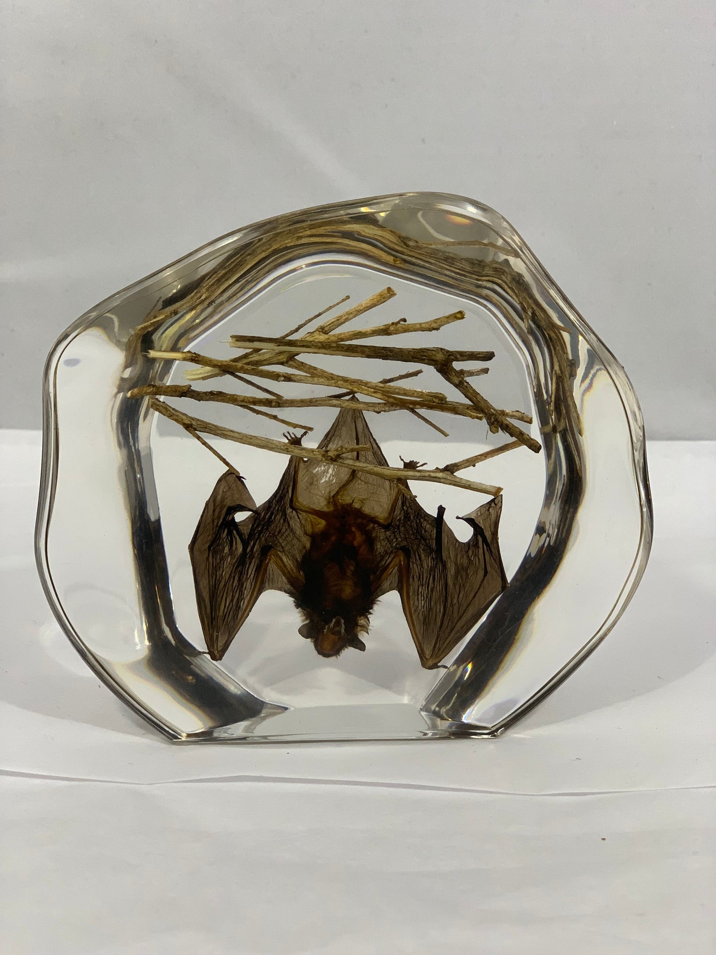 4.5" Organic Bat Decoration