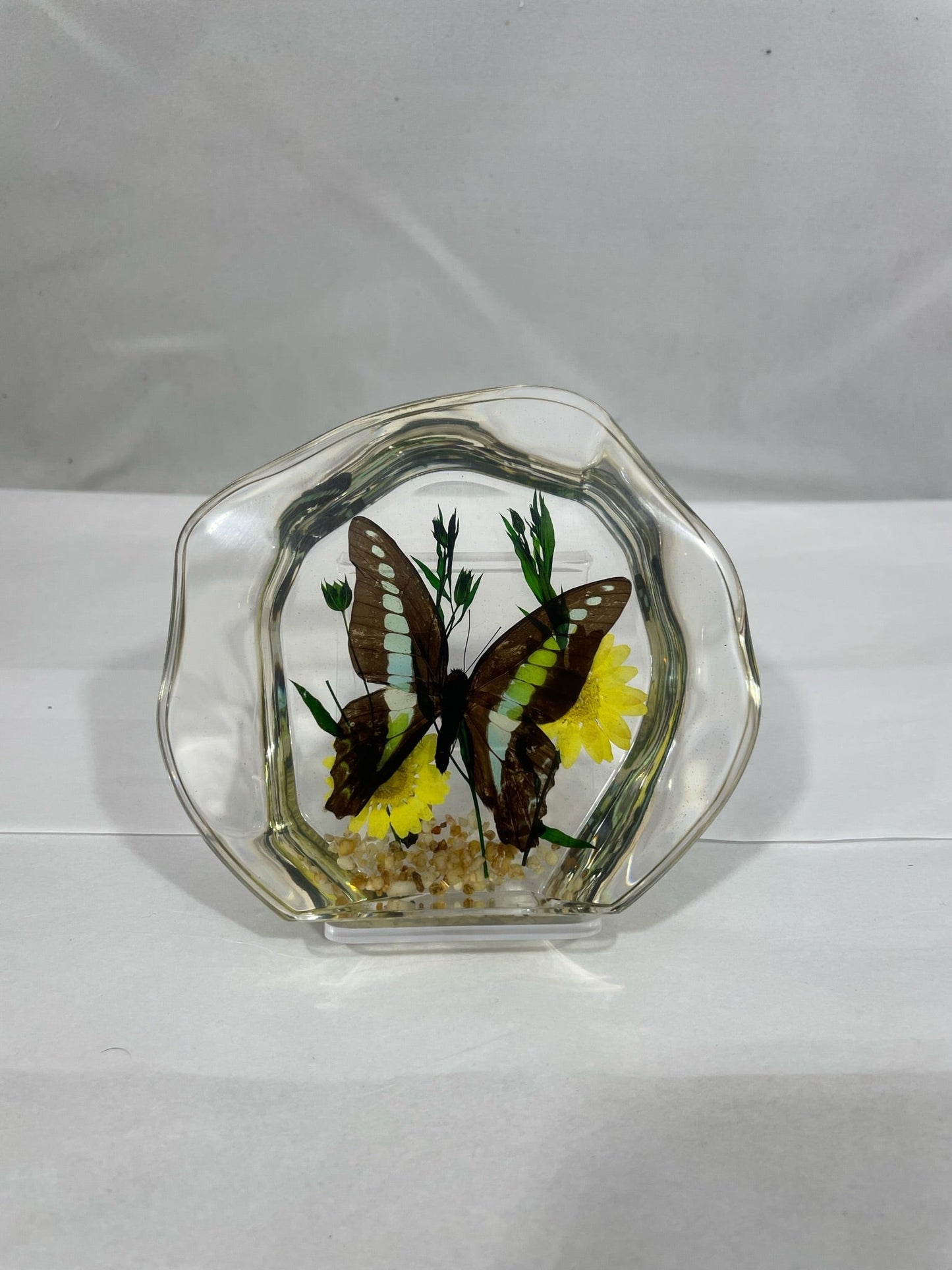 4.5" Organic Swallowtail Butterfly Decoration