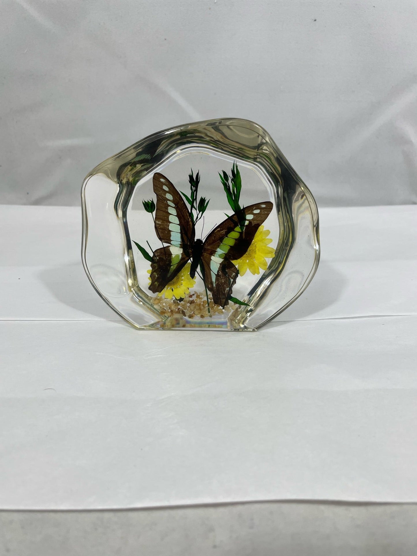 4.5" Organic Swallowtail Butterfly Decoration