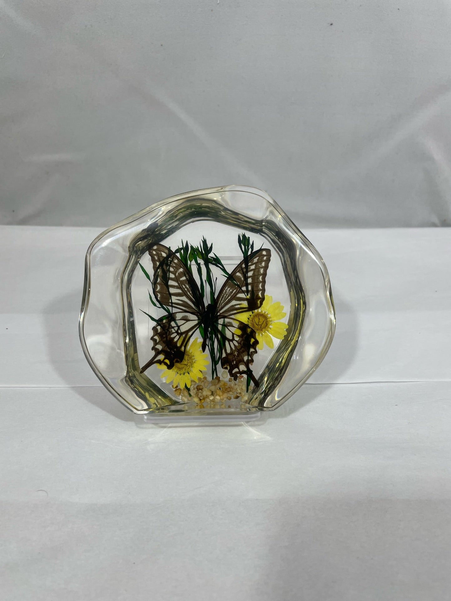4.5" Alt. Swallowtail Butterfly Decoration