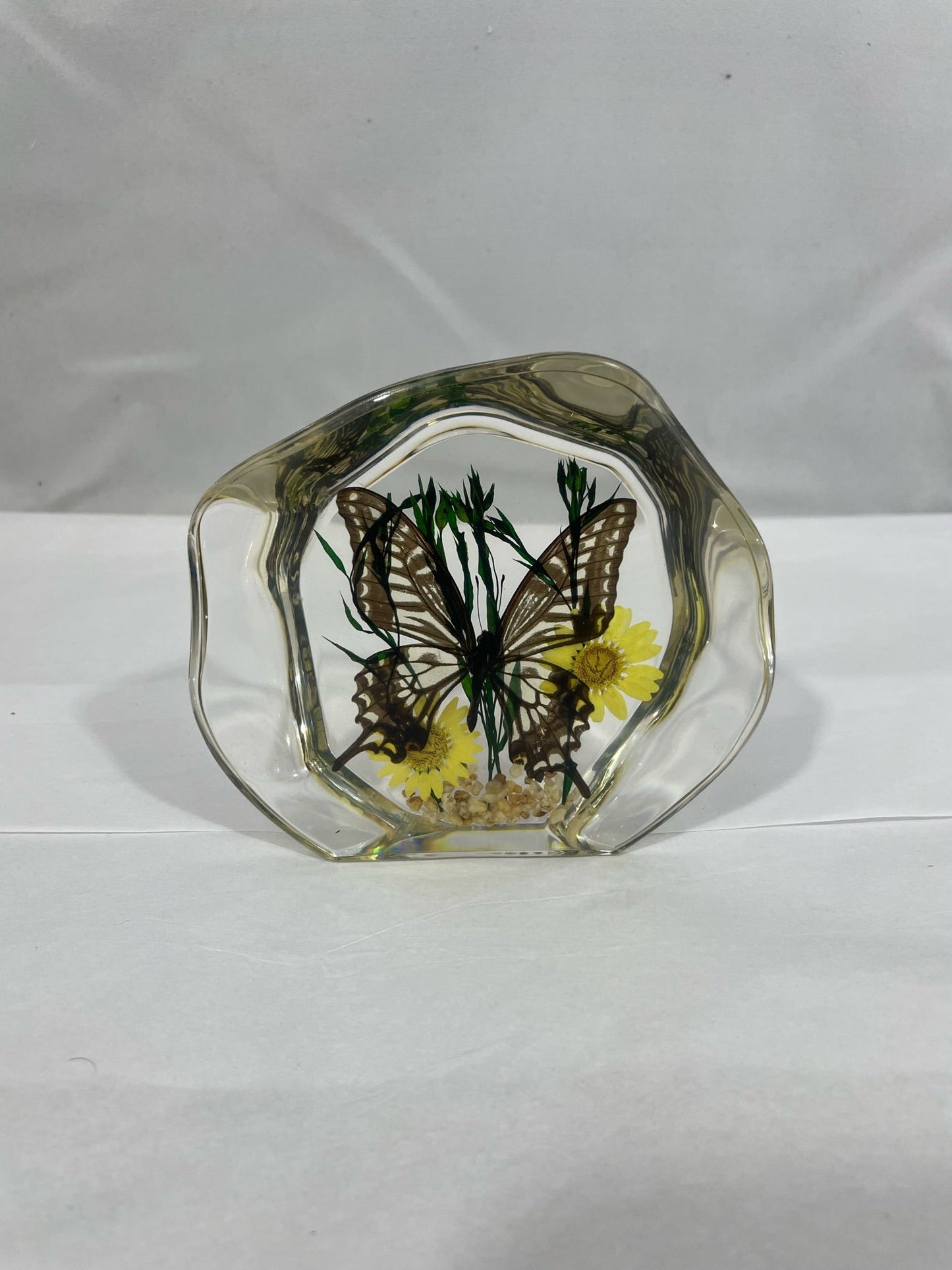 4.5" Alt. Swallowtail Butterfly Decoration