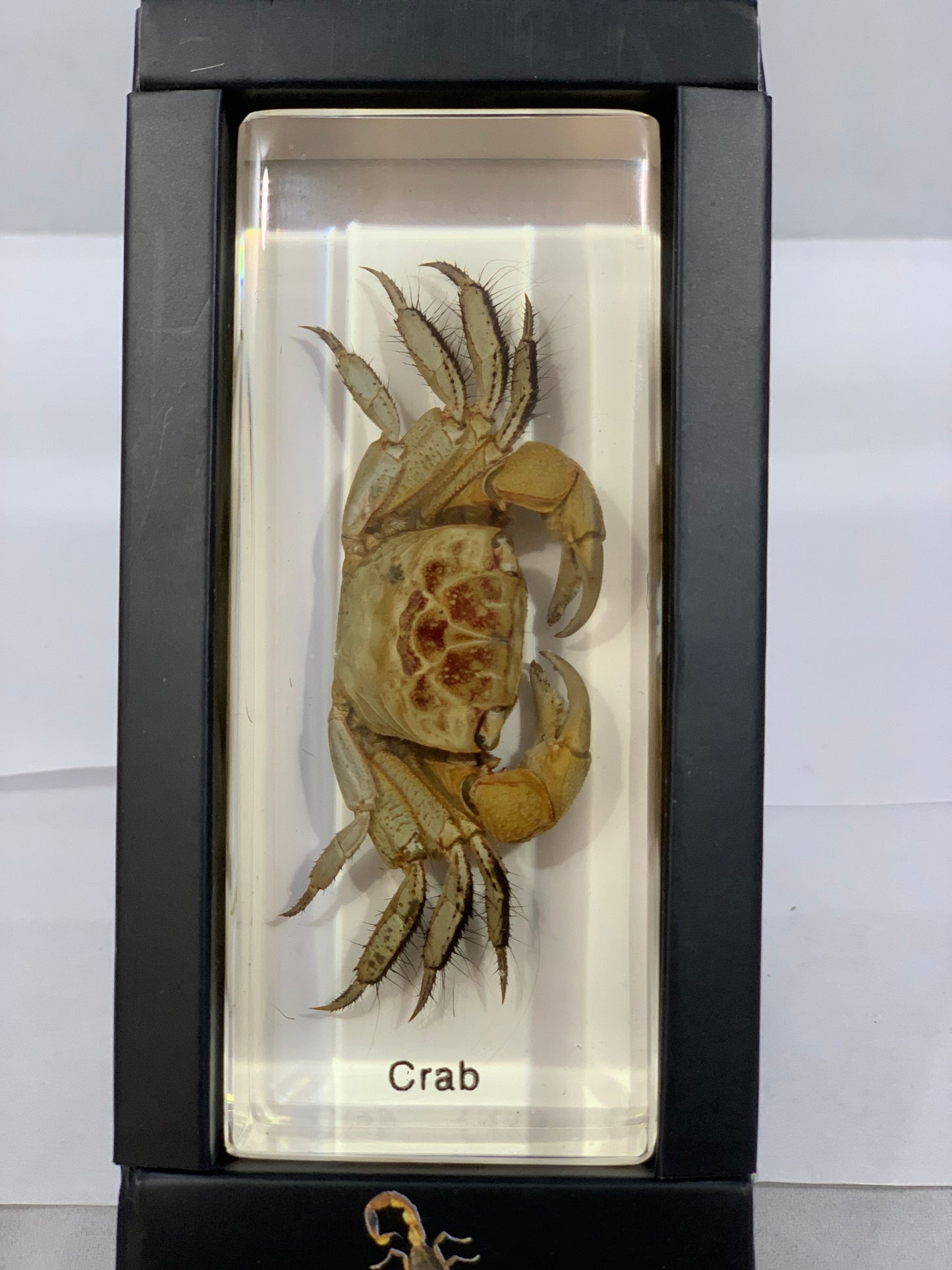 4.3" Crab Cuboid Paperweight
