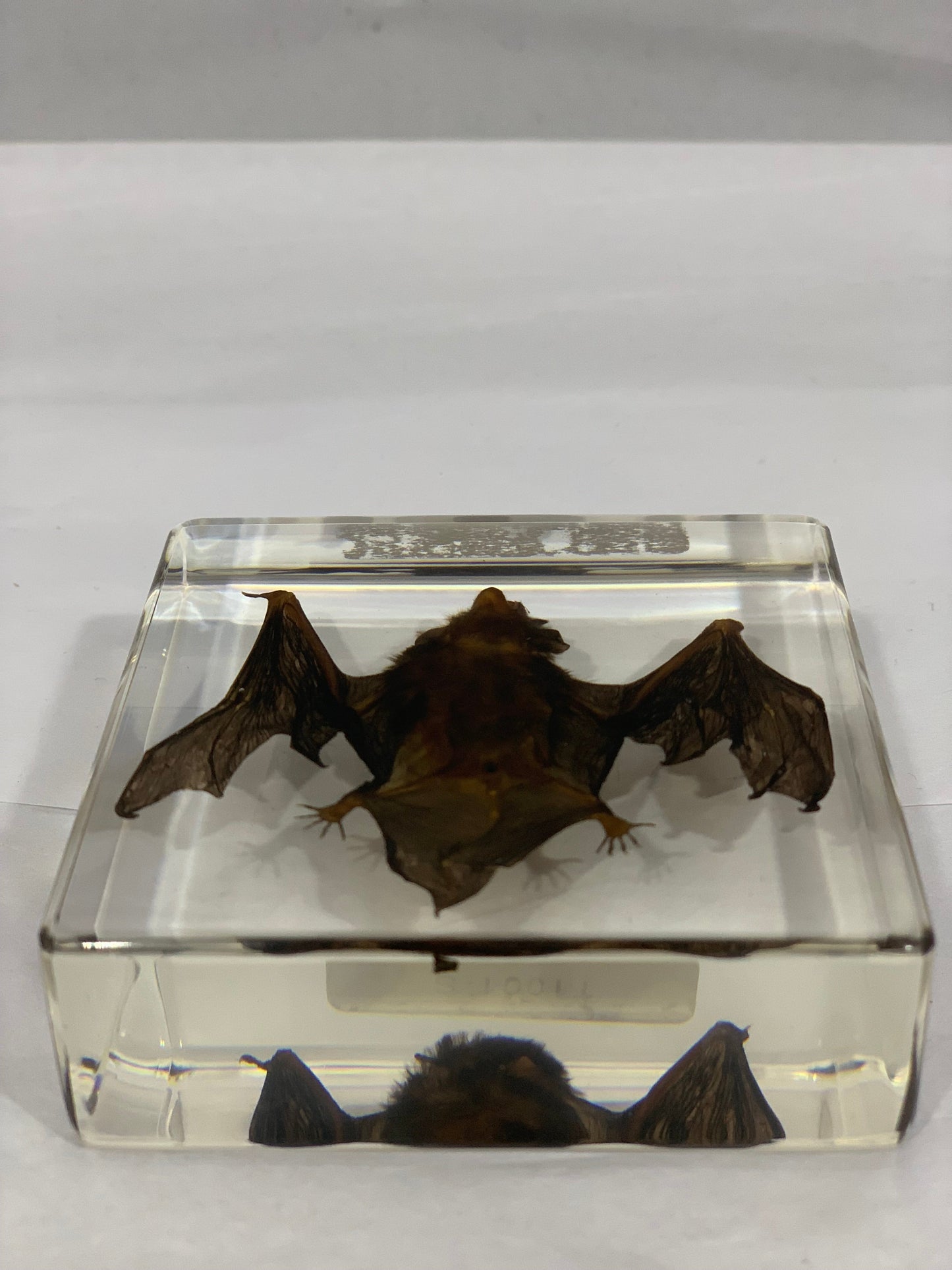 3" Bat Paperweight