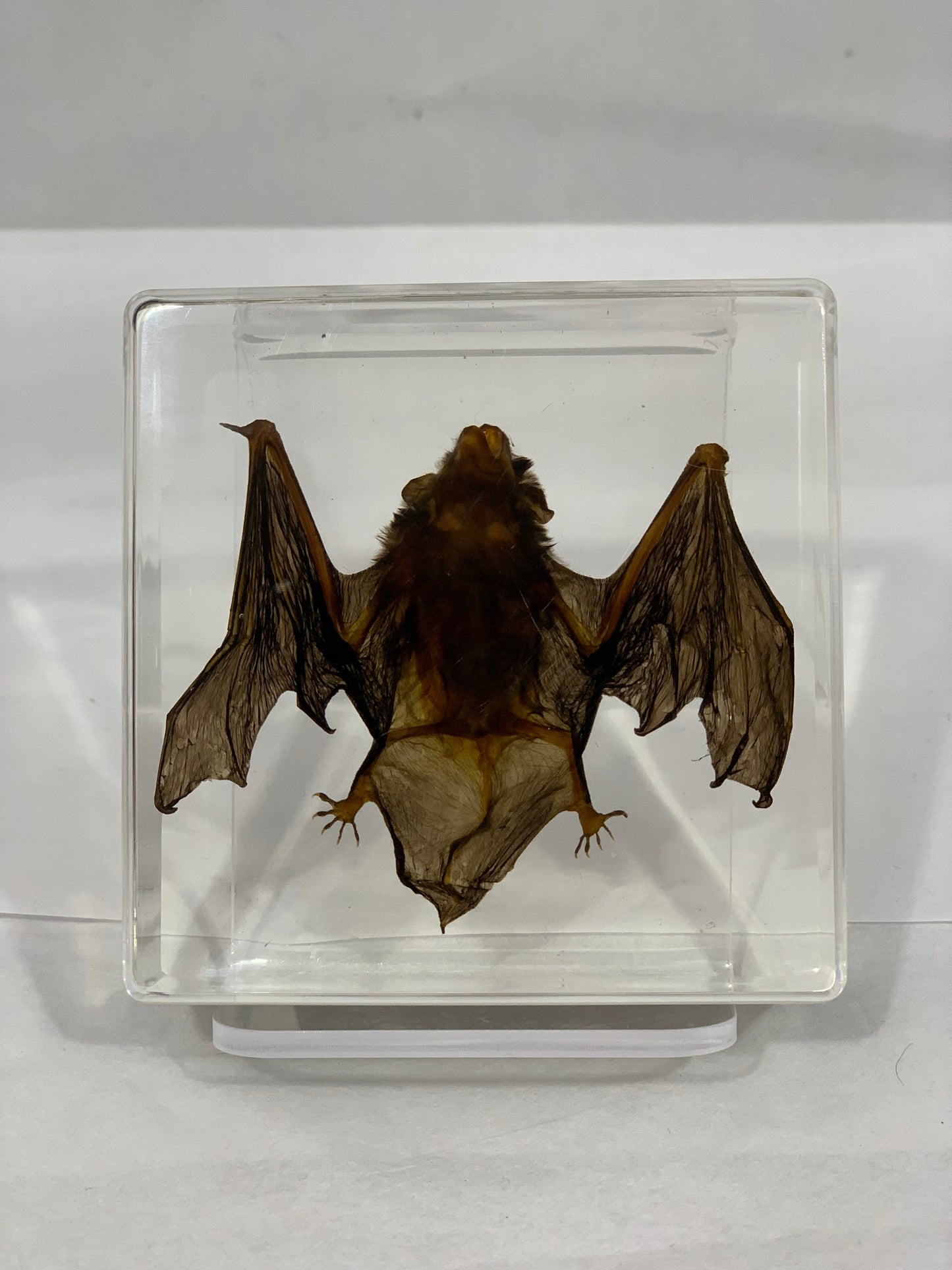 3" Bat Paperweight