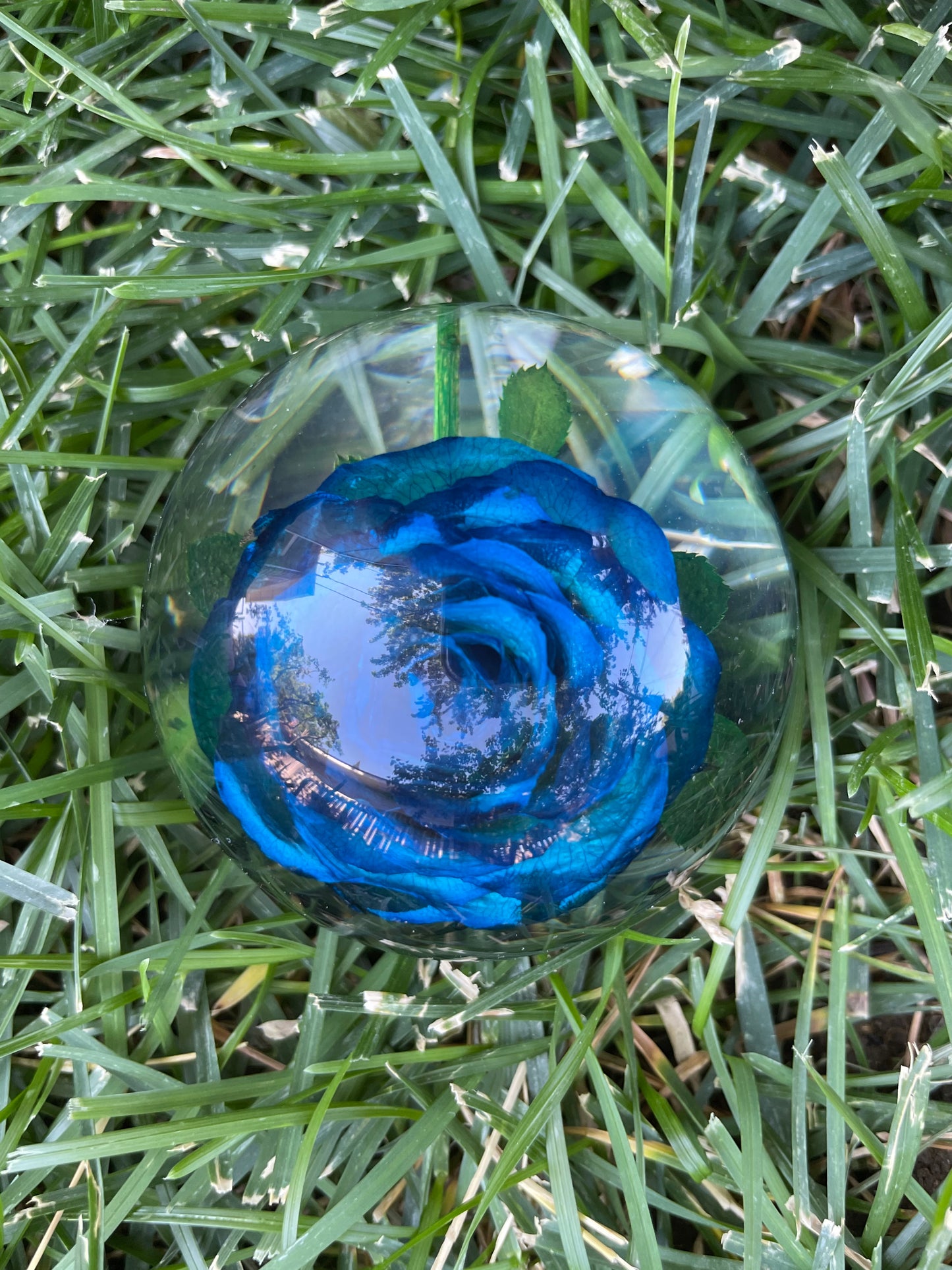 2.1" Forever Red or Blue Rose Encased in Resin Globe Desk Decoration
