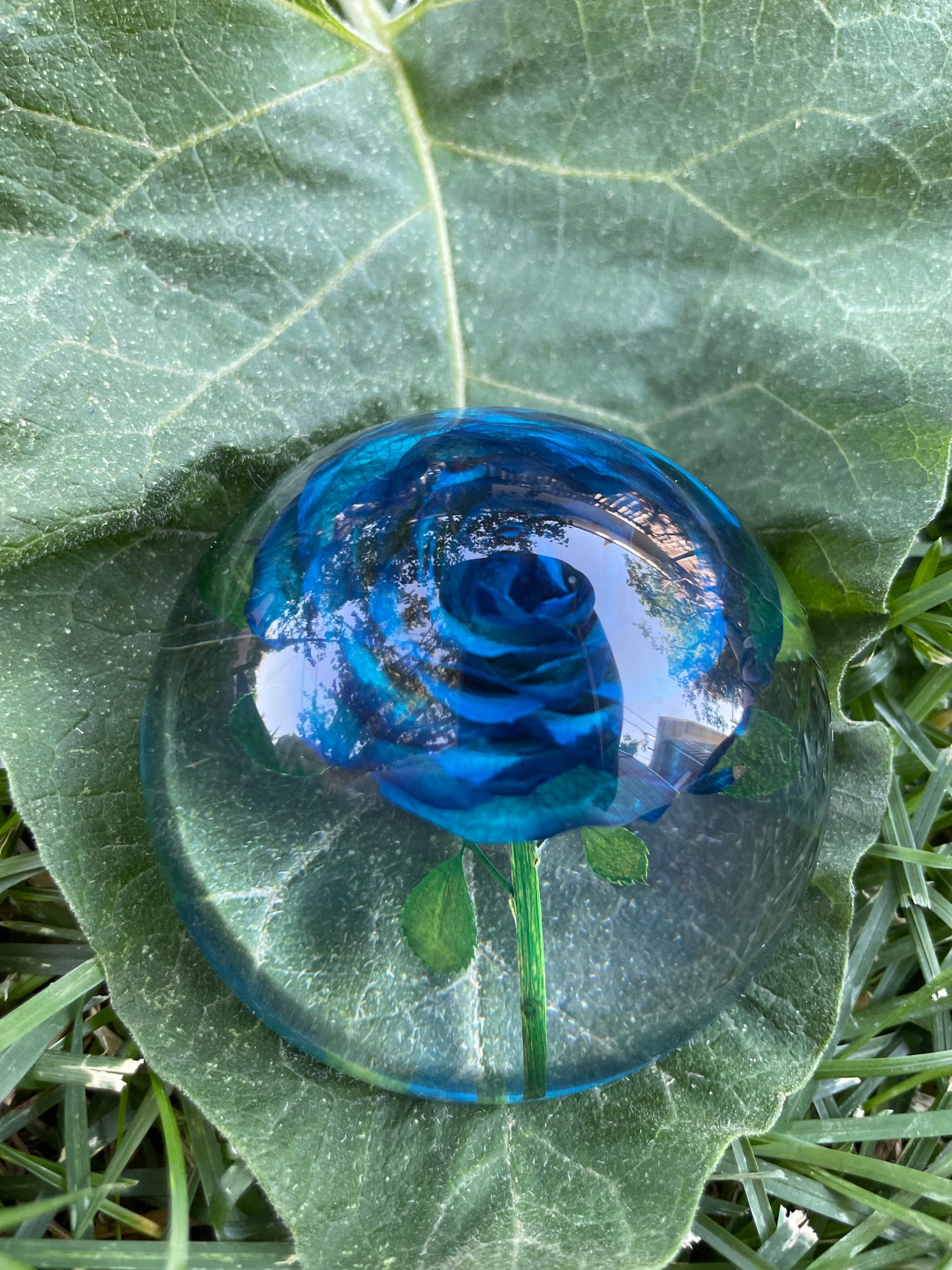 2.1" Forever Red or Blue Rose Encased in Resin Globe Desk Decoration