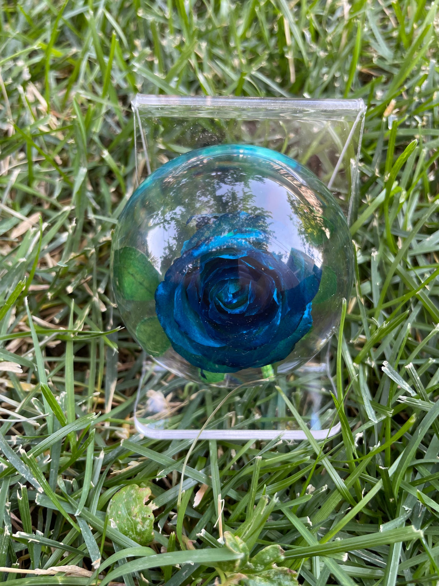 2.1" Forever Red or Blue Rose Encased in Resin Globe Desk Decoration