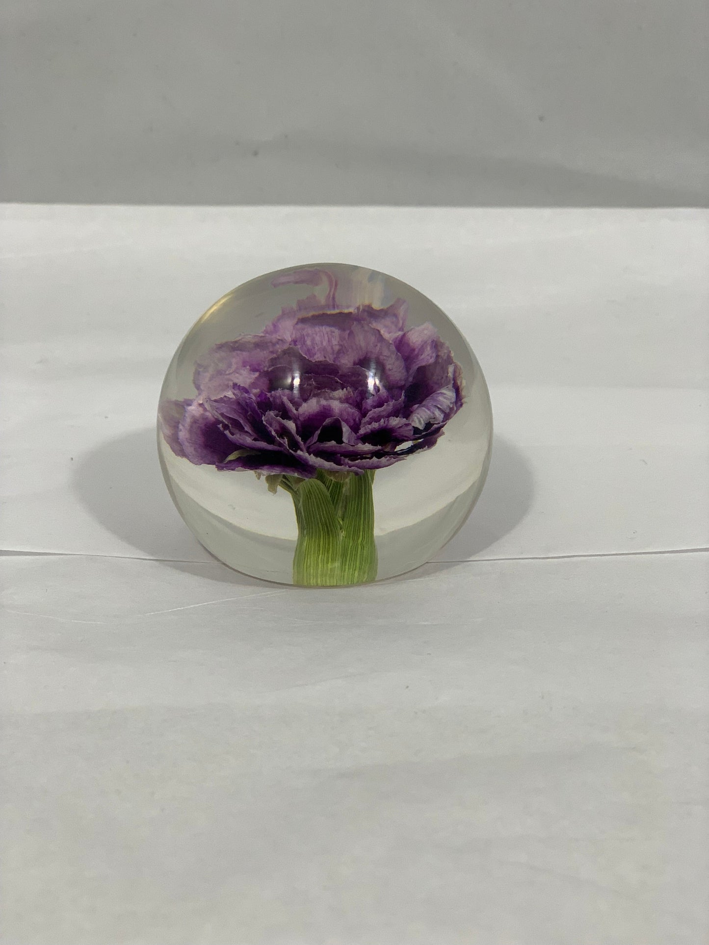 Purple Carnation Globe
