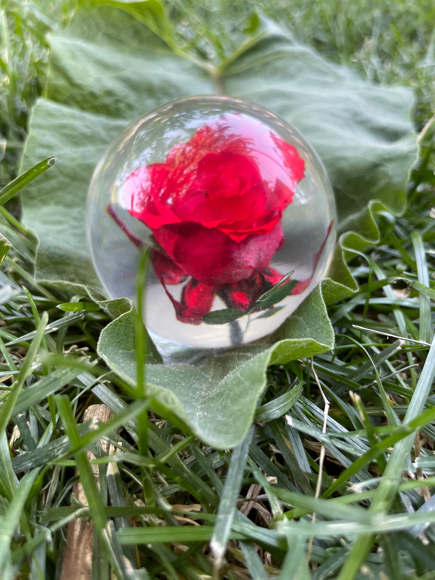 2.1" Forever Red or Blue Rose Encased in Resin Globe Desk Decoration