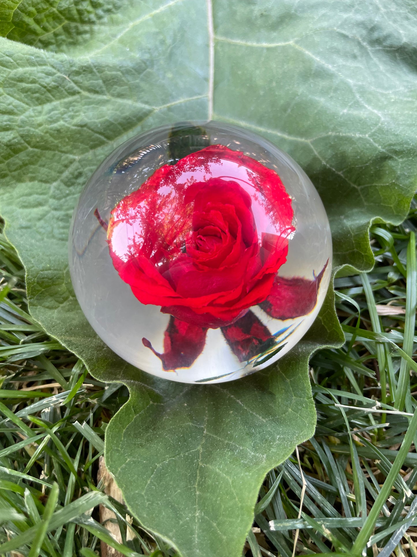 2.1" Forever Red or Blue Rose Encased in Resin Globe Desk Decoration