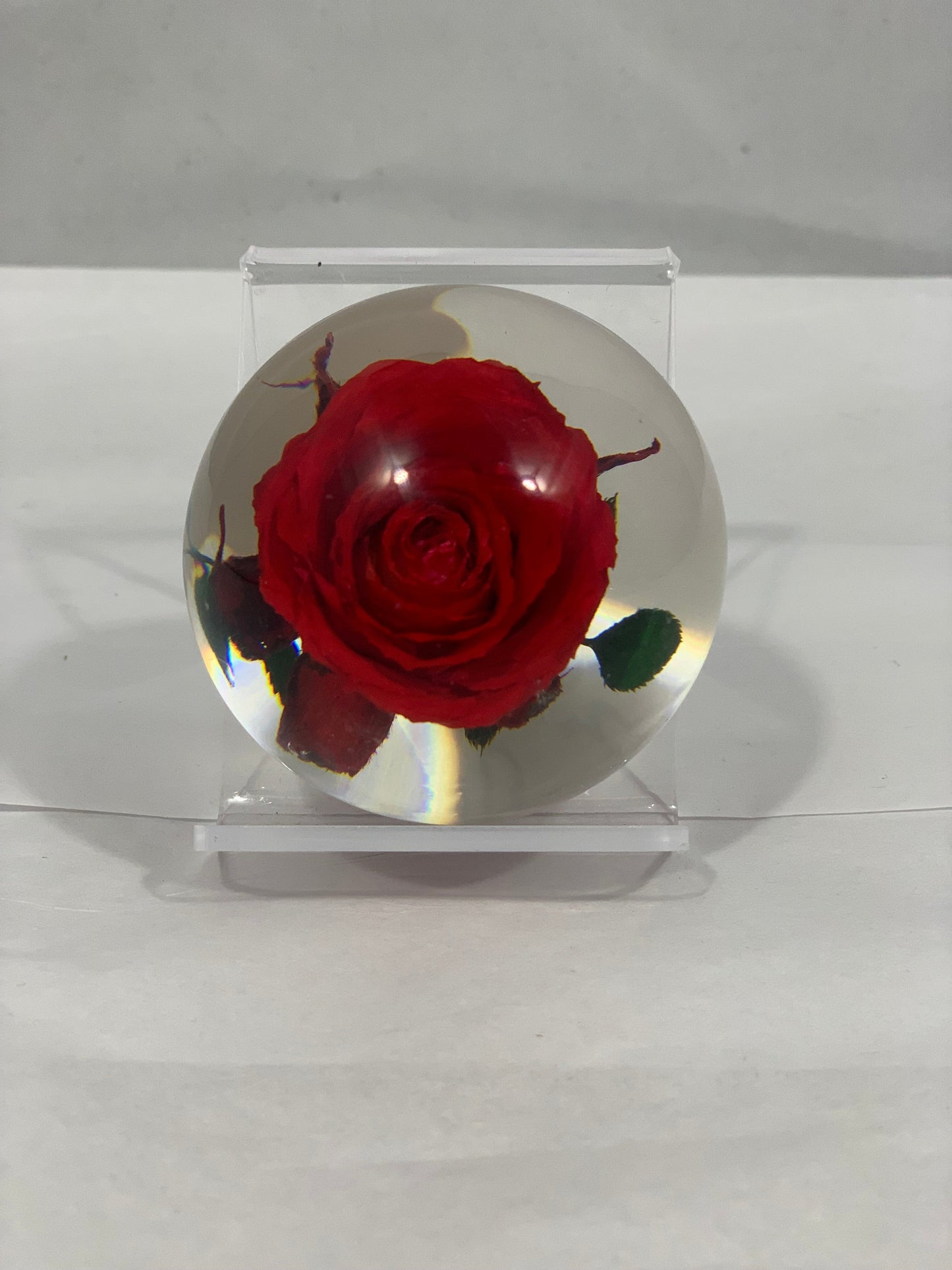 2.1" Forever Red or Blue Rose Encased in Resin Globe Desk Decoration