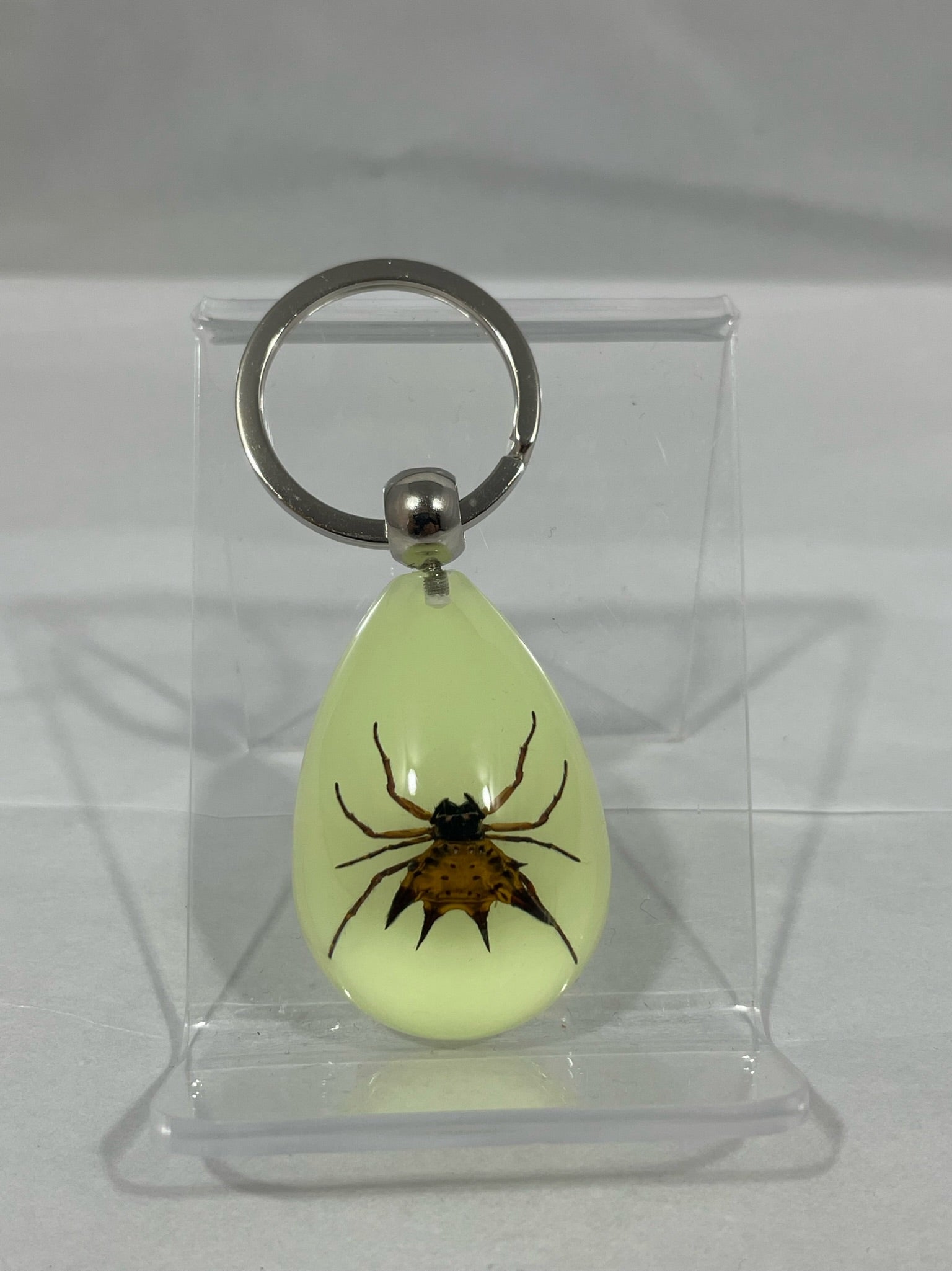 Spiny Spider Keychain – Digital Impressions Resin Gifts