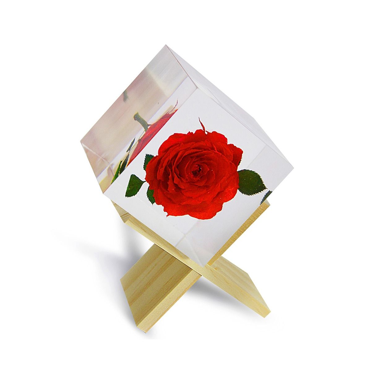 Red Rose encased 2x2 square resin suspended by bamboo interlocked stand