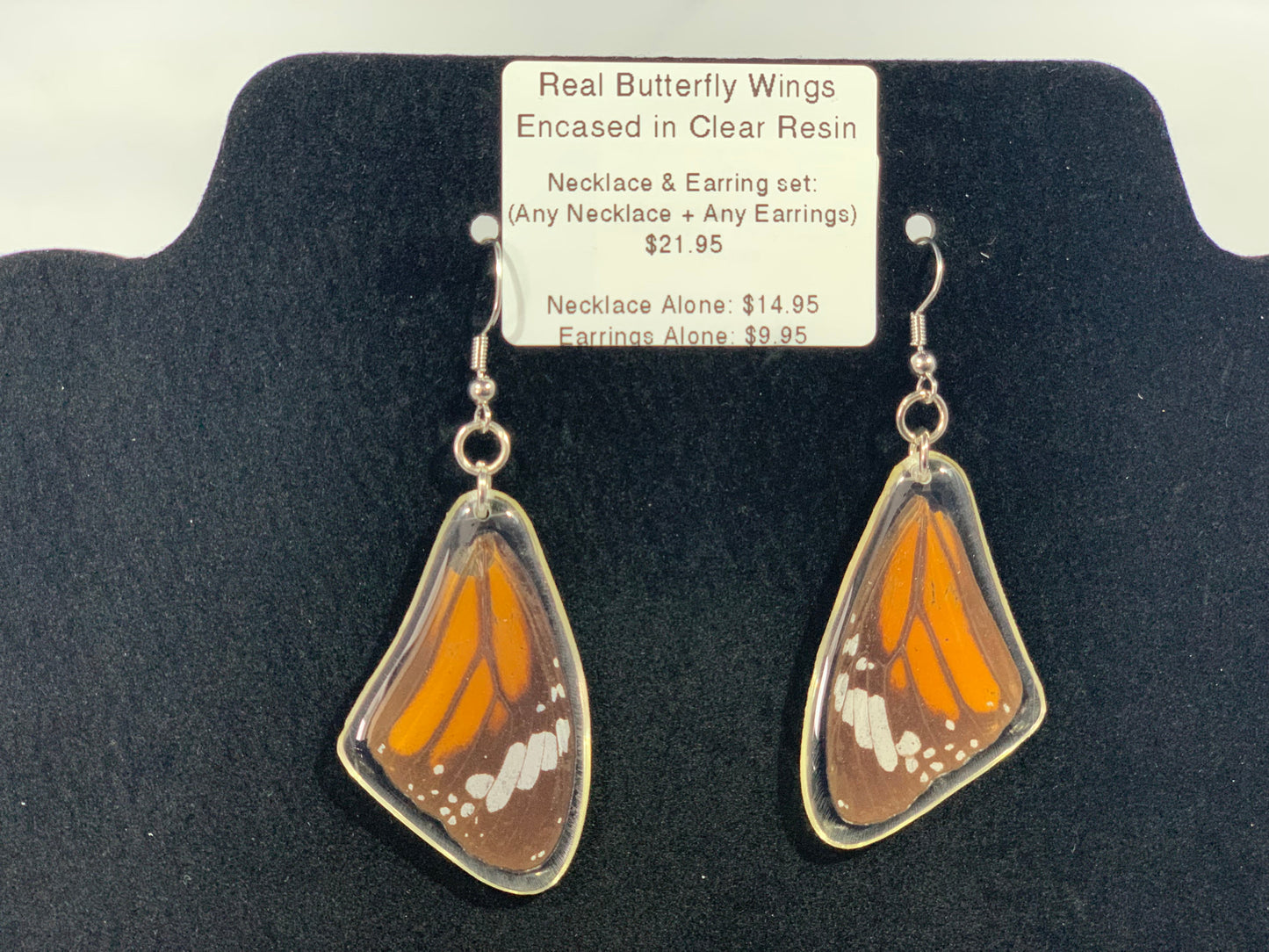 Preserved Butterfly Jewelry